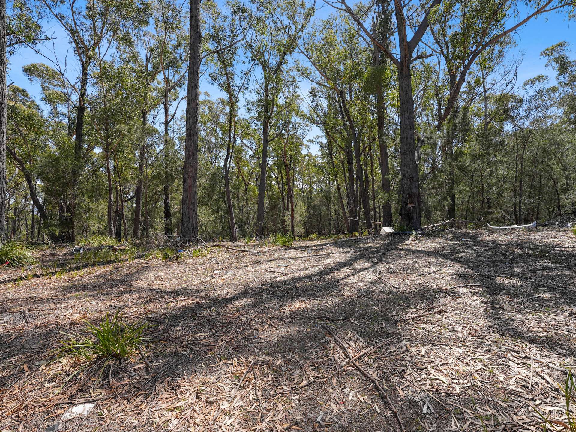 1297 Coles Bay Road, Coles Bay For Sale by Farmbuy.com - image 17