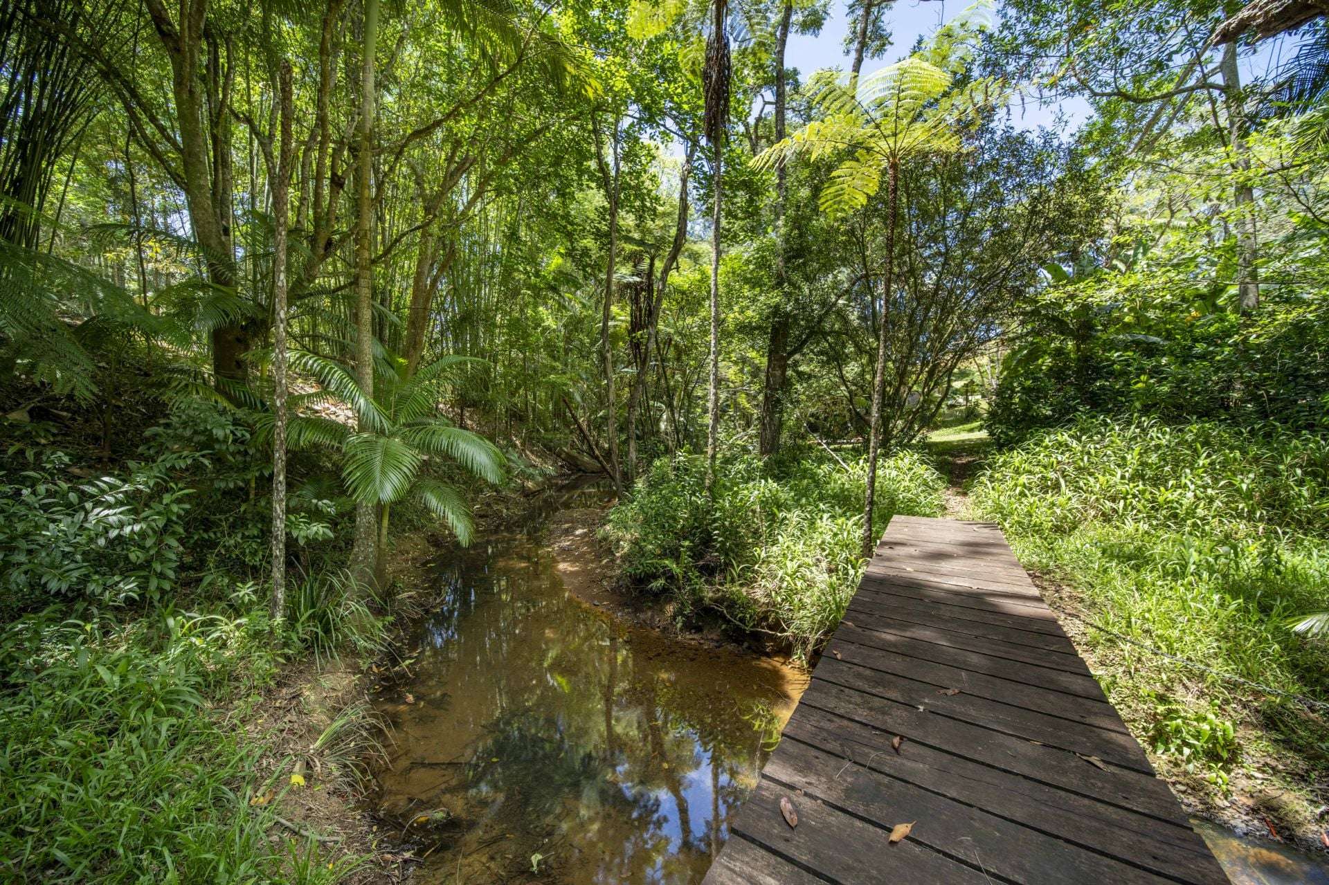 829 The Pocket Rd, The Pocket For Sale by Farmbuy.com - image 24