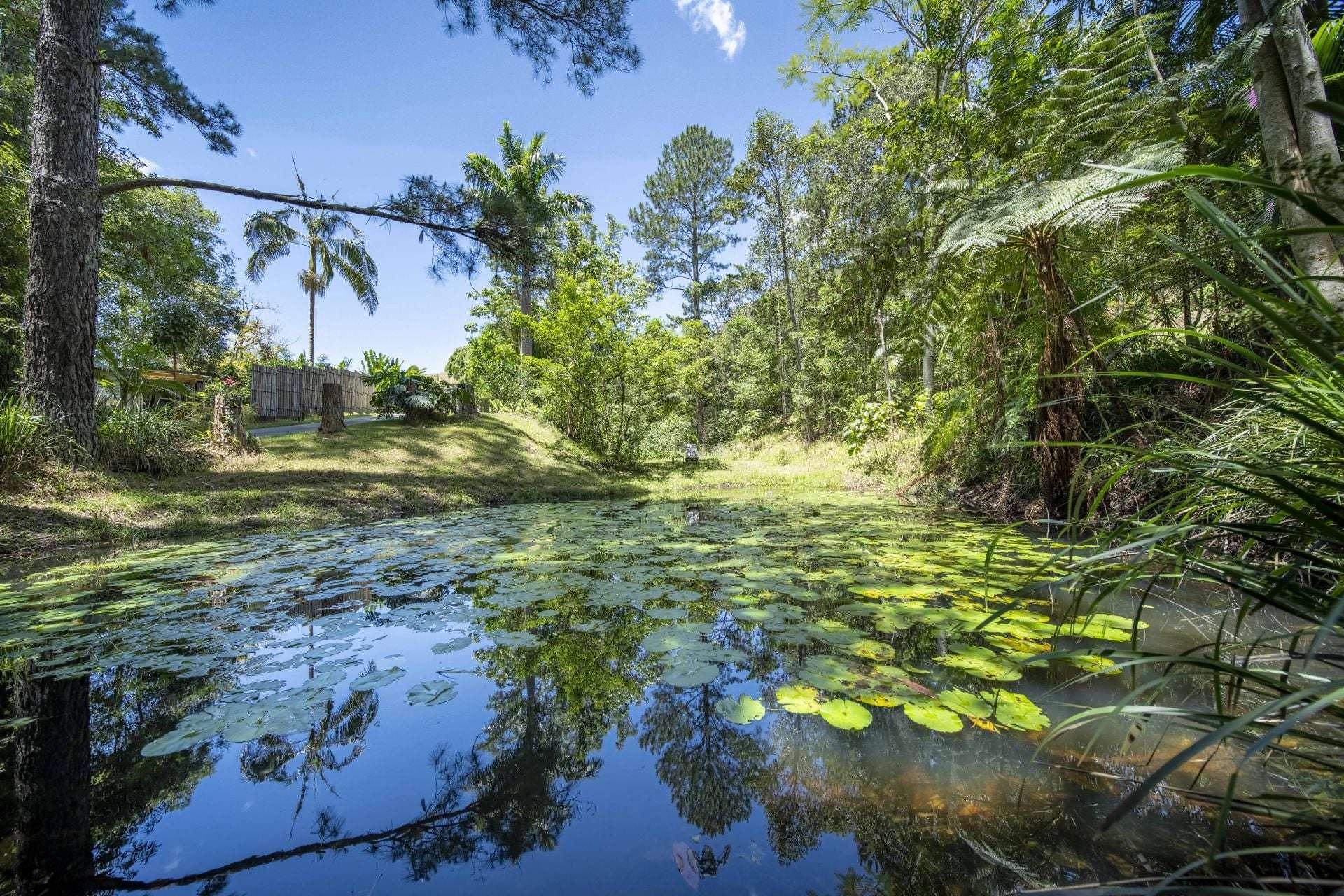 829 The Pocket Rd, The Pocket For Sale by Farmbuy.com - image 30