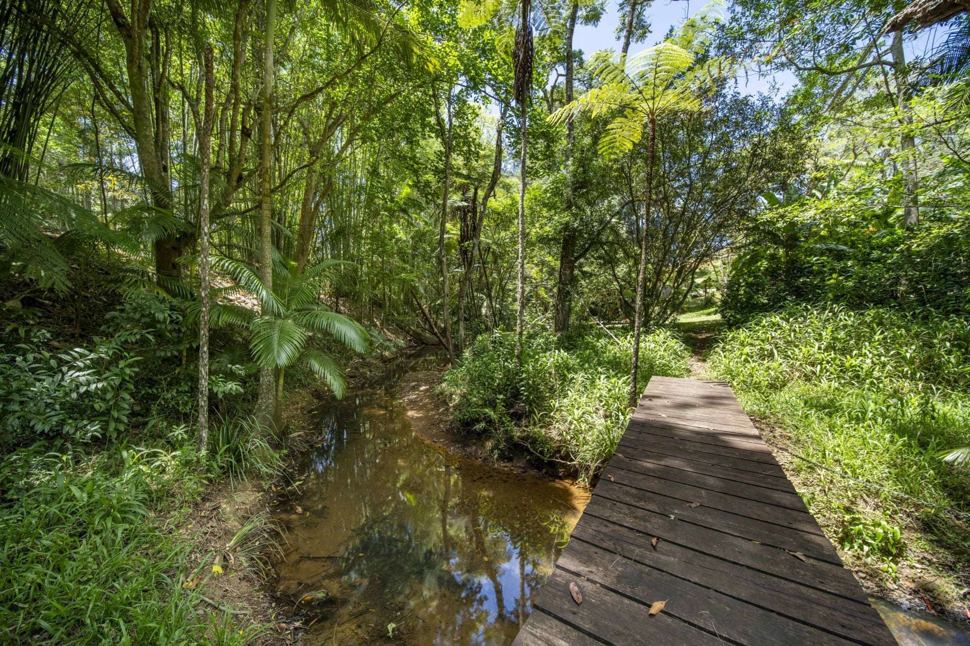 829 The Pocket Rd, The Pocket For Sale by Farmbuy.com - image 24