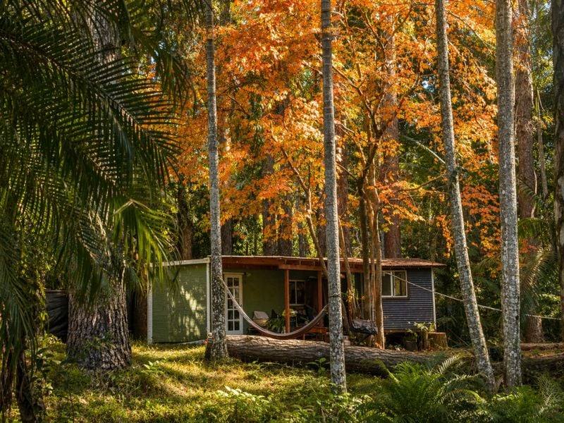 829 The Pocket Rd, The Pocket For Sale by Farmbuy.com - image 28