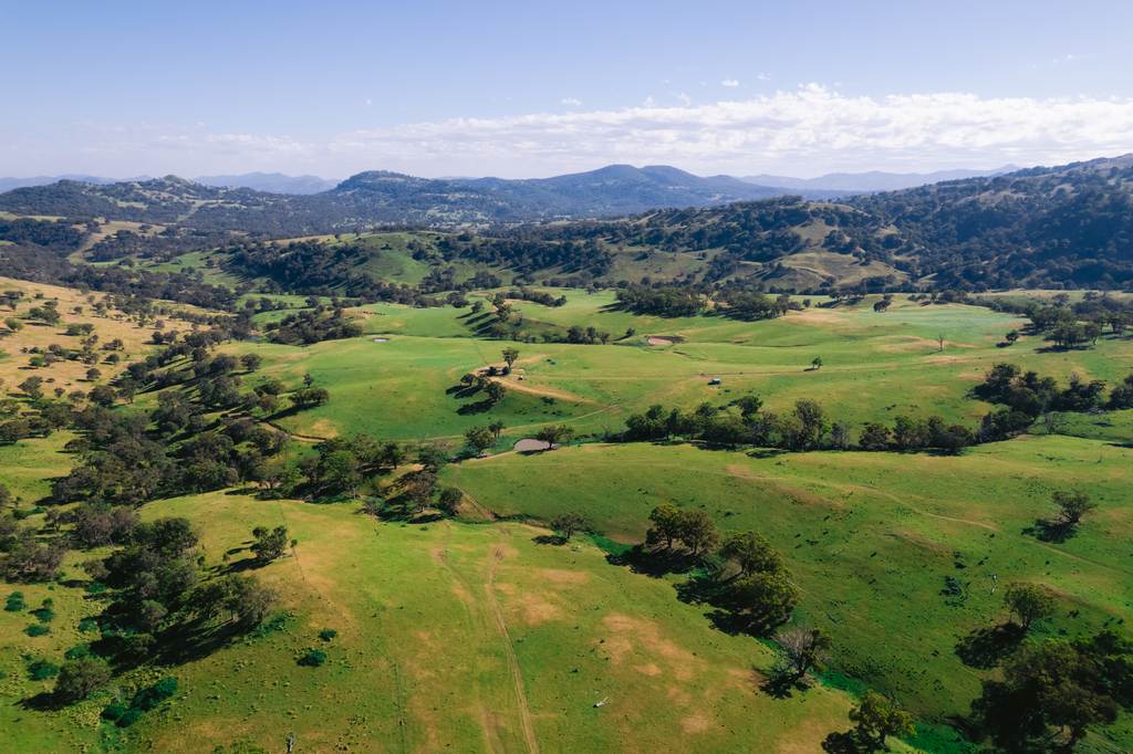7390 New England Hwy, Willow Tree NSW 2339