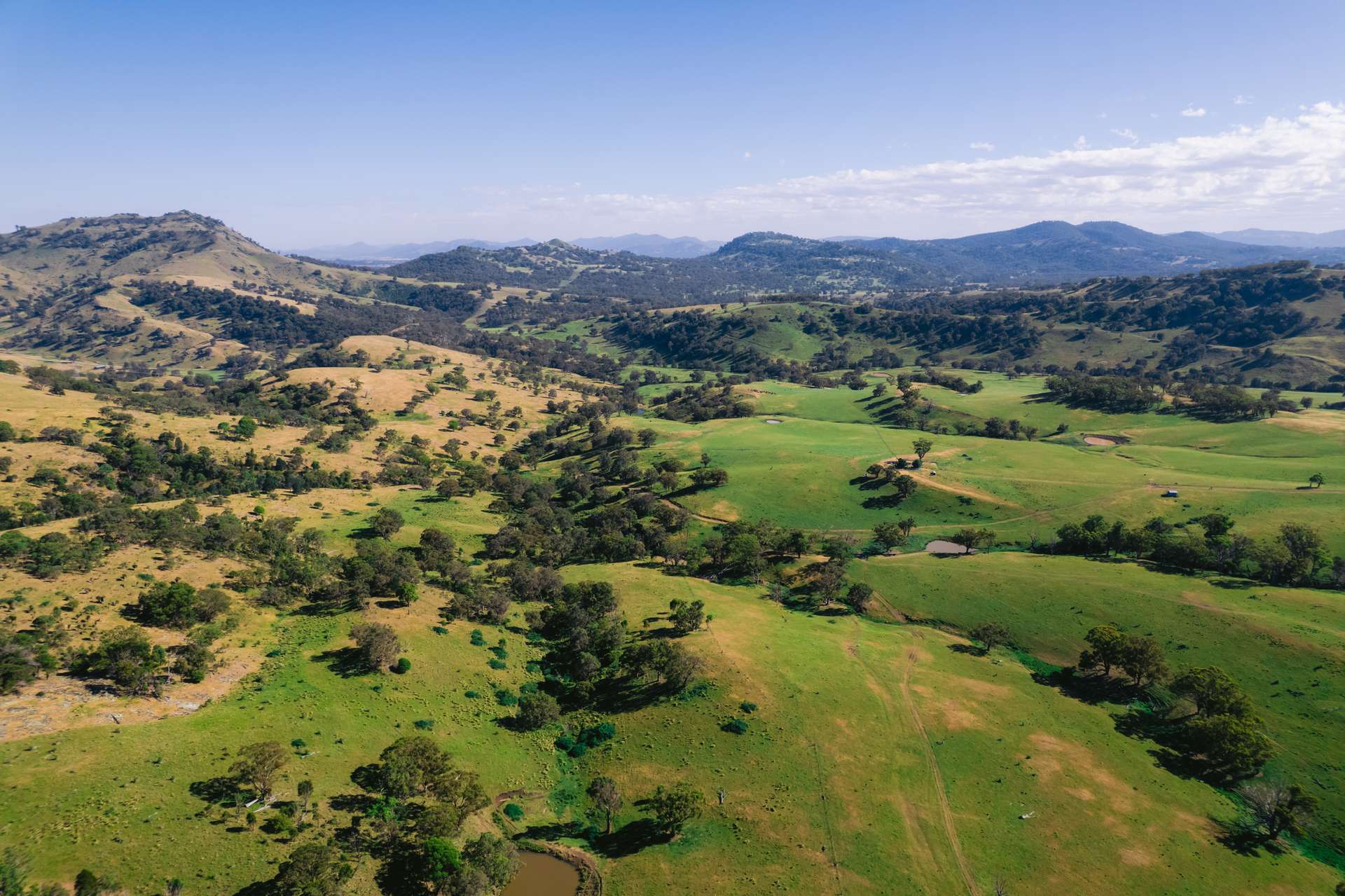 7390 New England Hwy, Willow Tree For Sale by Farmbuy.com - image 15