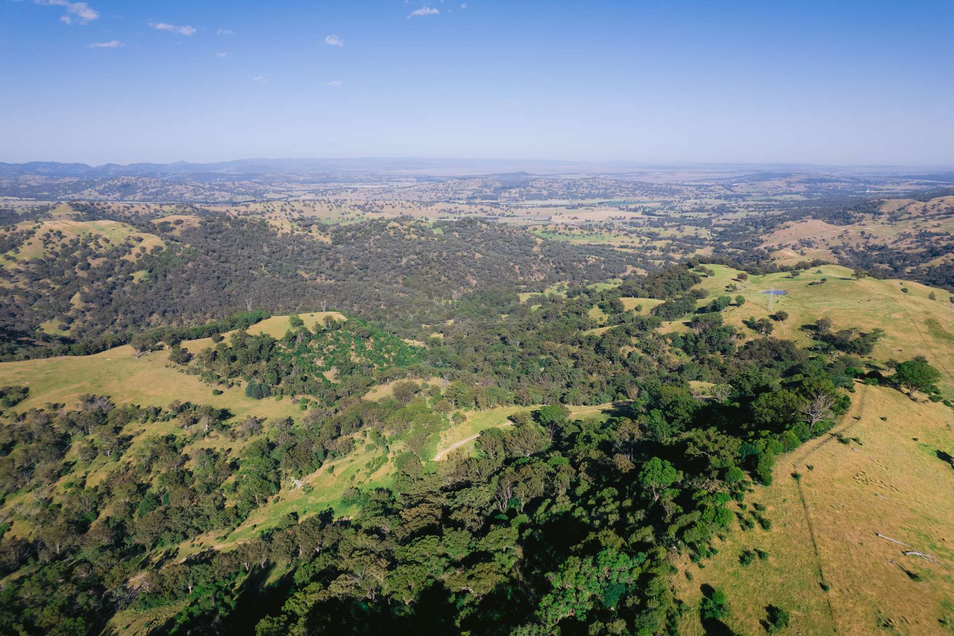 7390 New England Hwy, Willow Tree For Sale by Farmbuy.com - image 12