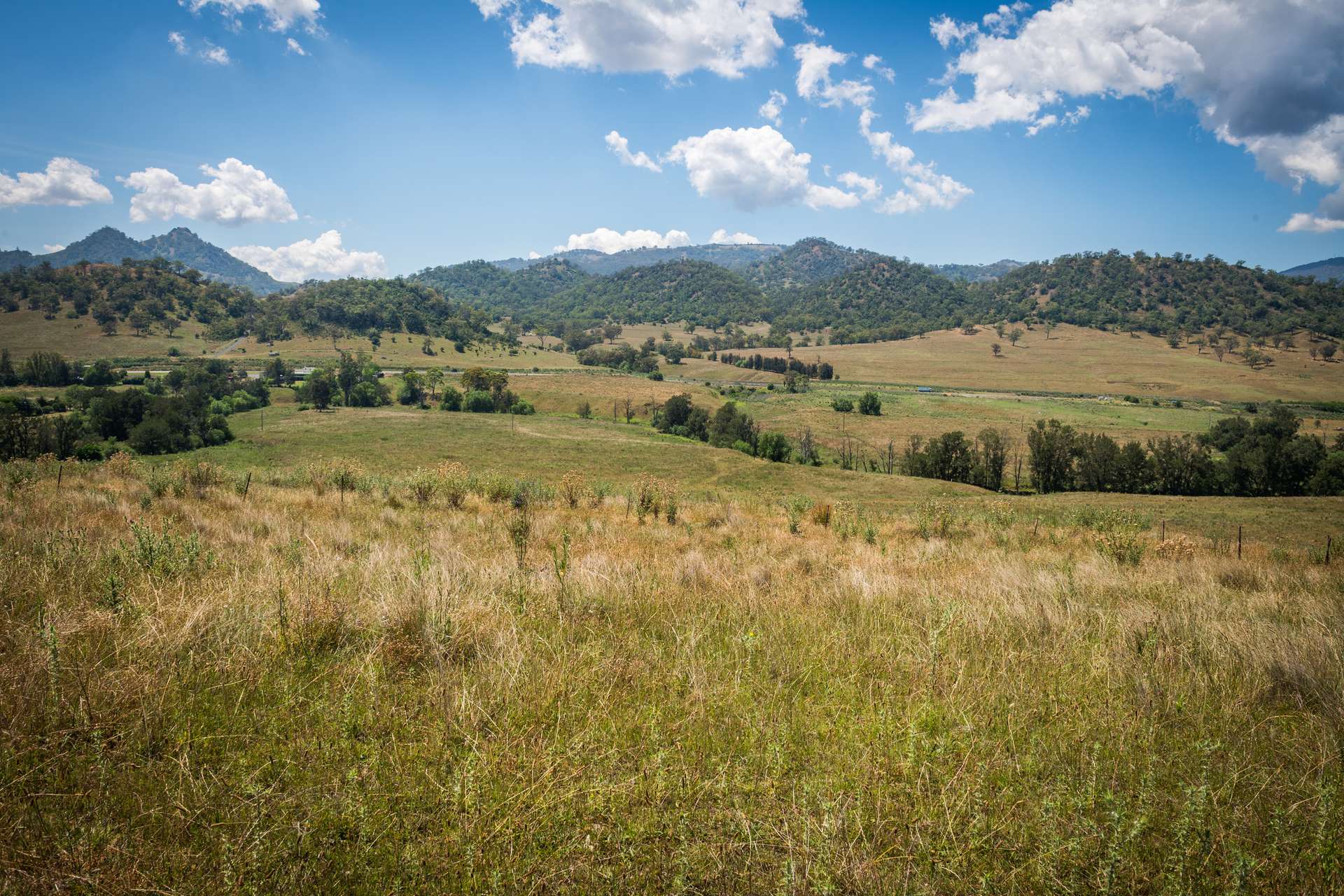 27 Petwyn Vale Rd, Wingen Sold by Farmbuy.com - image 13