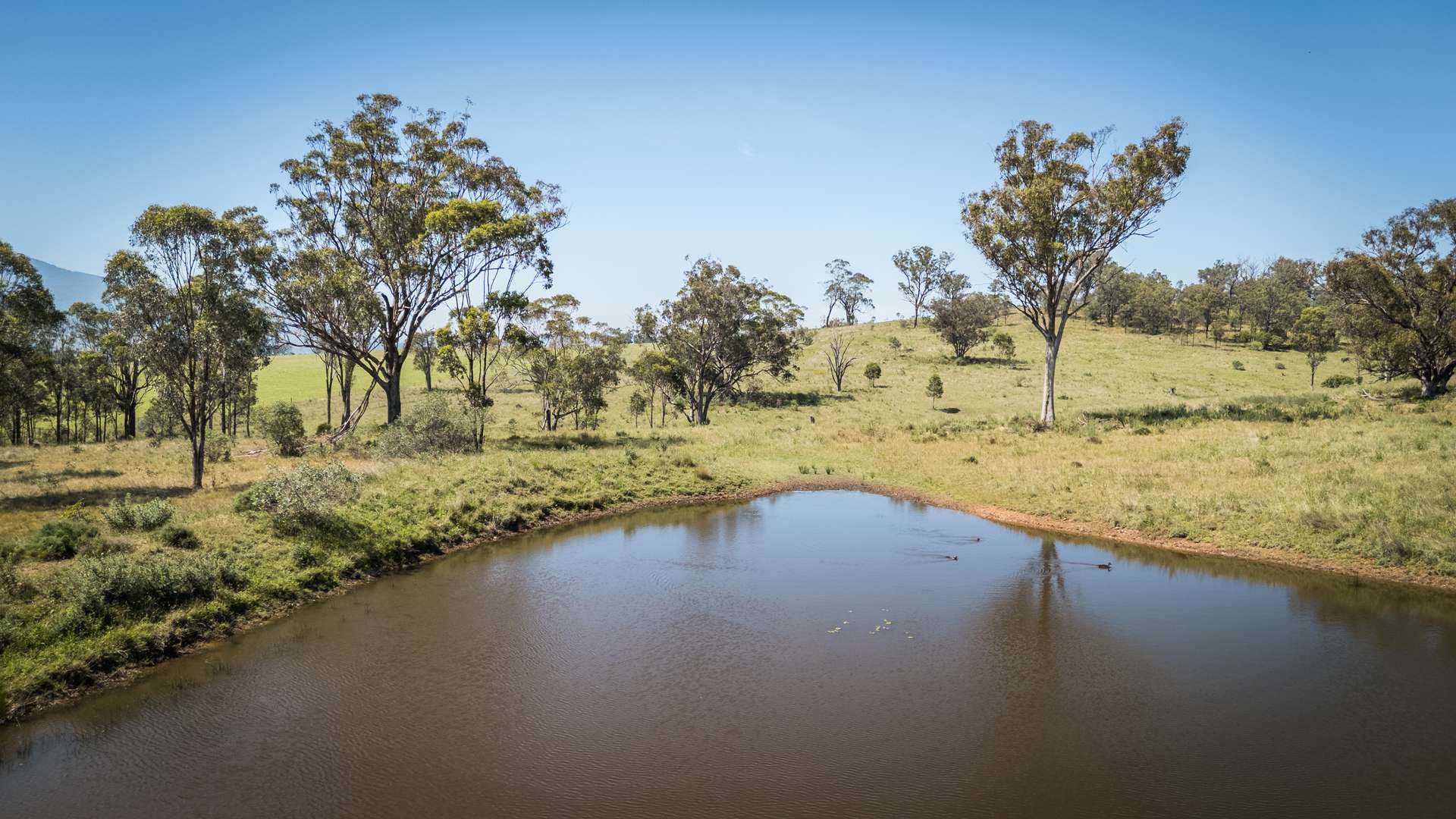 27 Petwyn Vale Rd, Wingen Sold by Farmbuy.com - image 20