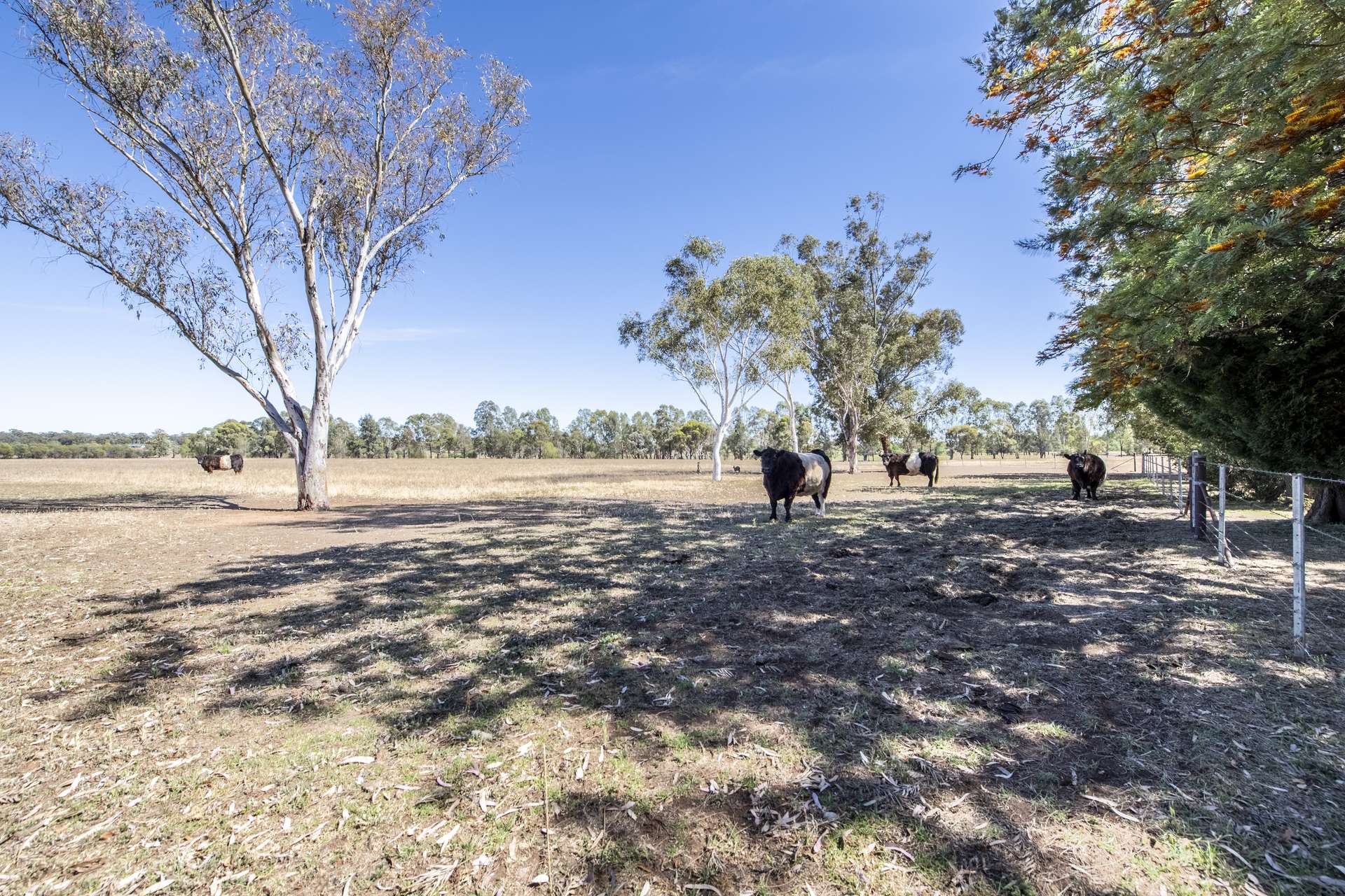 10L Gidgee Road, Dubbo Sold by Farmbuy.com - image 30