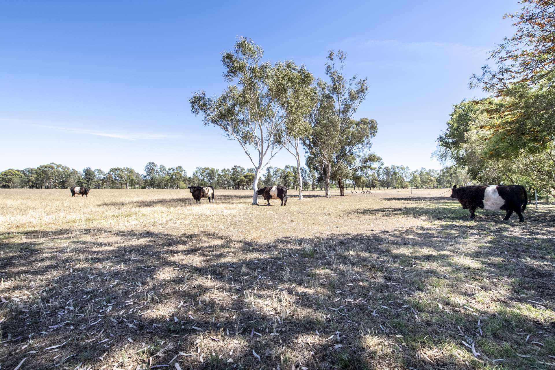 10L Gidgee Road, Dubbo Sold by Farmbuy.com - image 31