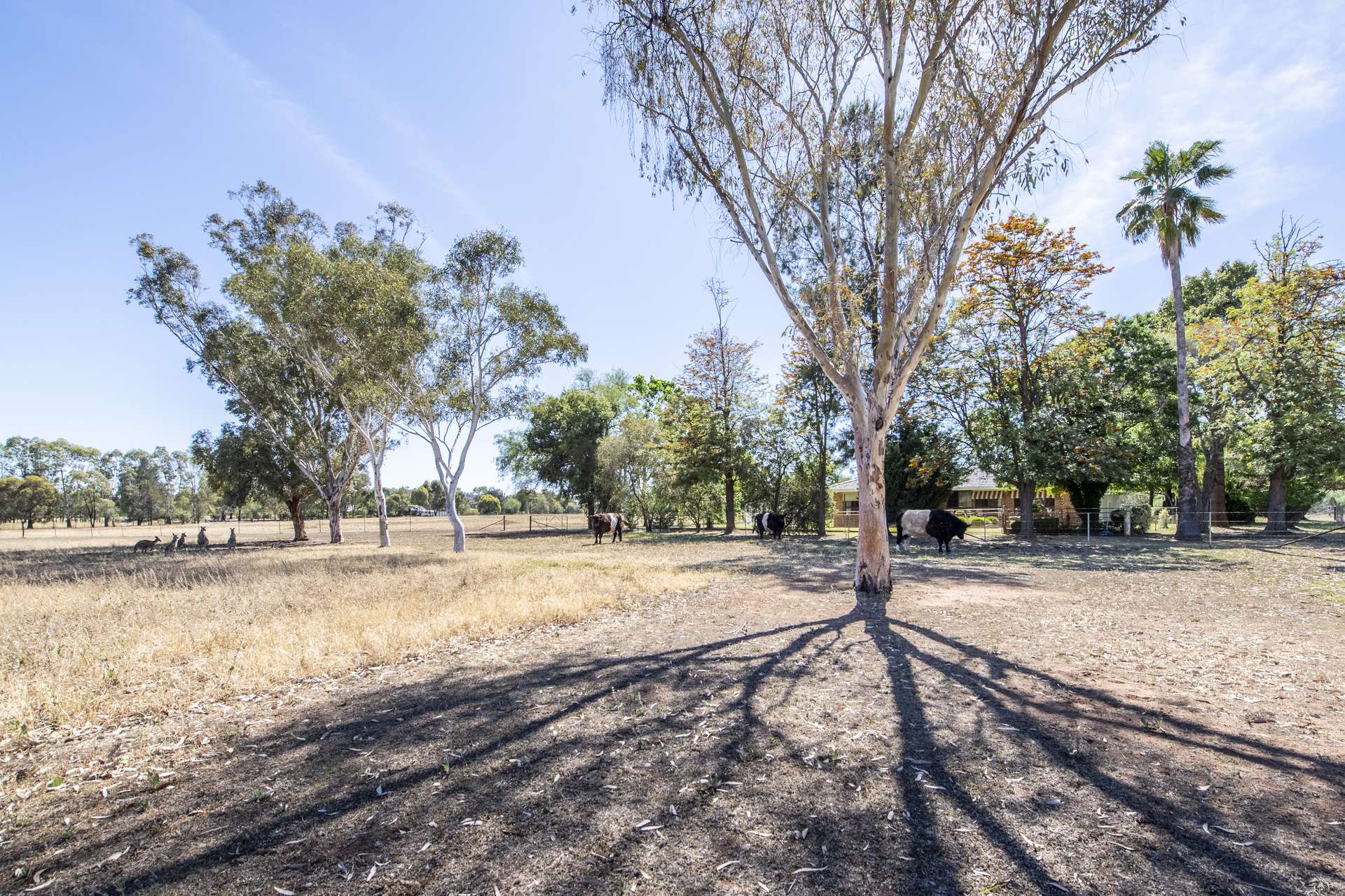 10L Gidgee Road, Dubbo Sold by Farmbuy.com - image 32