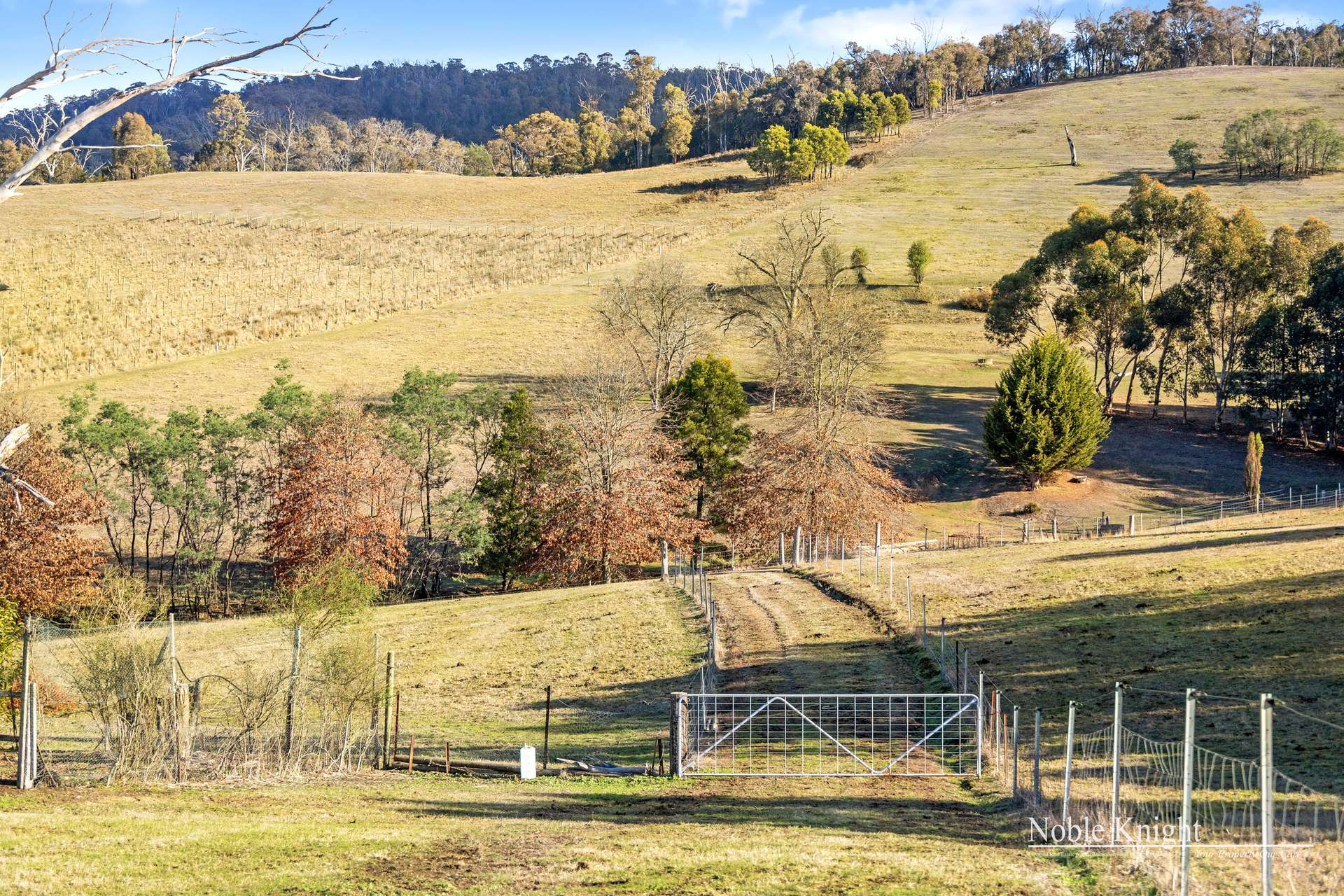 1131 Break Oday Road, Glenburn Sold by Farmbuy.com - image 12