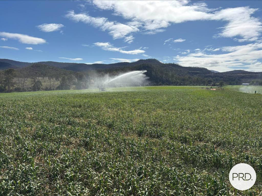 2080 Bylong Valley Way, Baerami NSW 2333