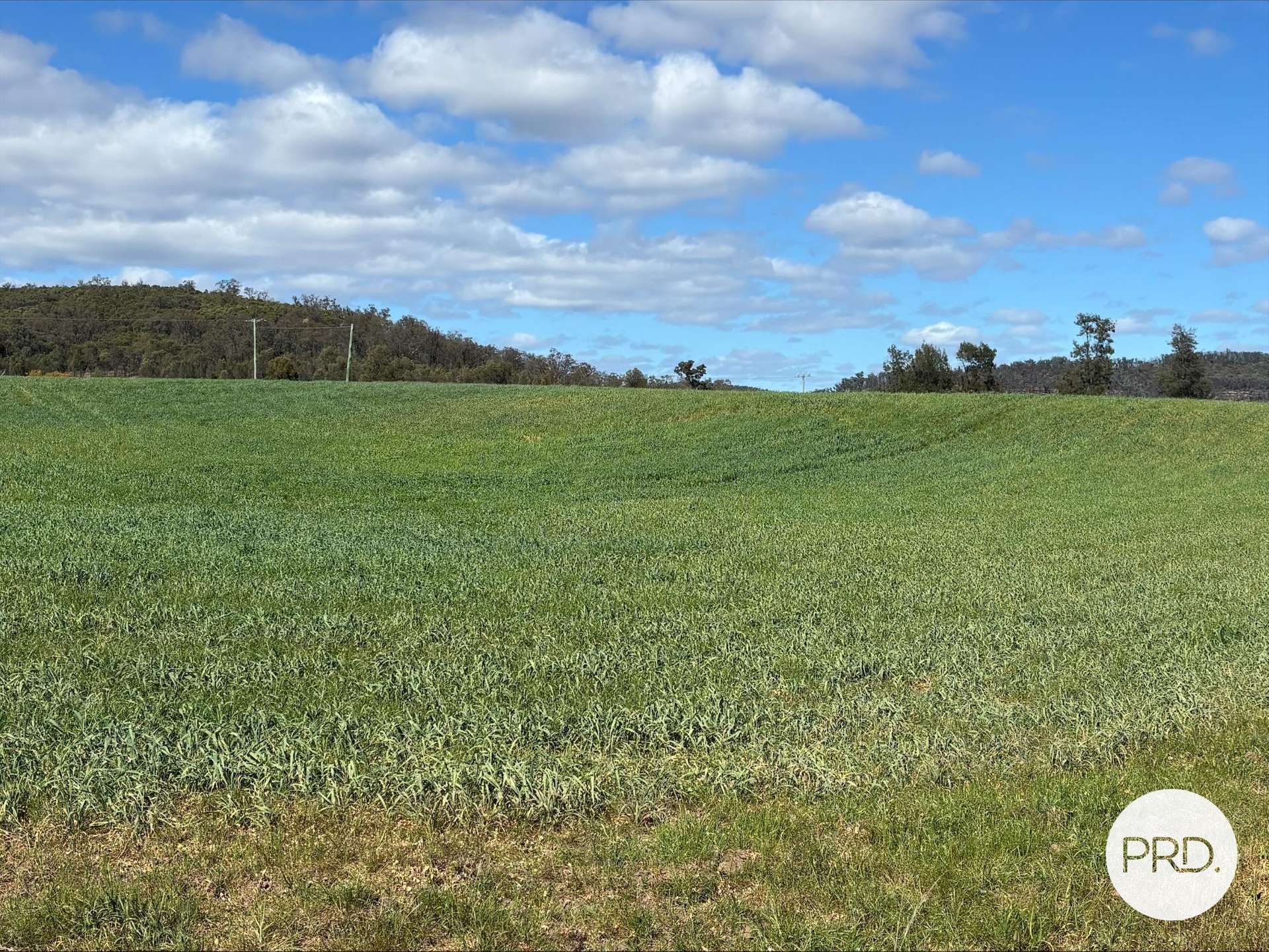 2080 Bylong Valley Way, Baerami For Sale by Farmbuy.com - image 7