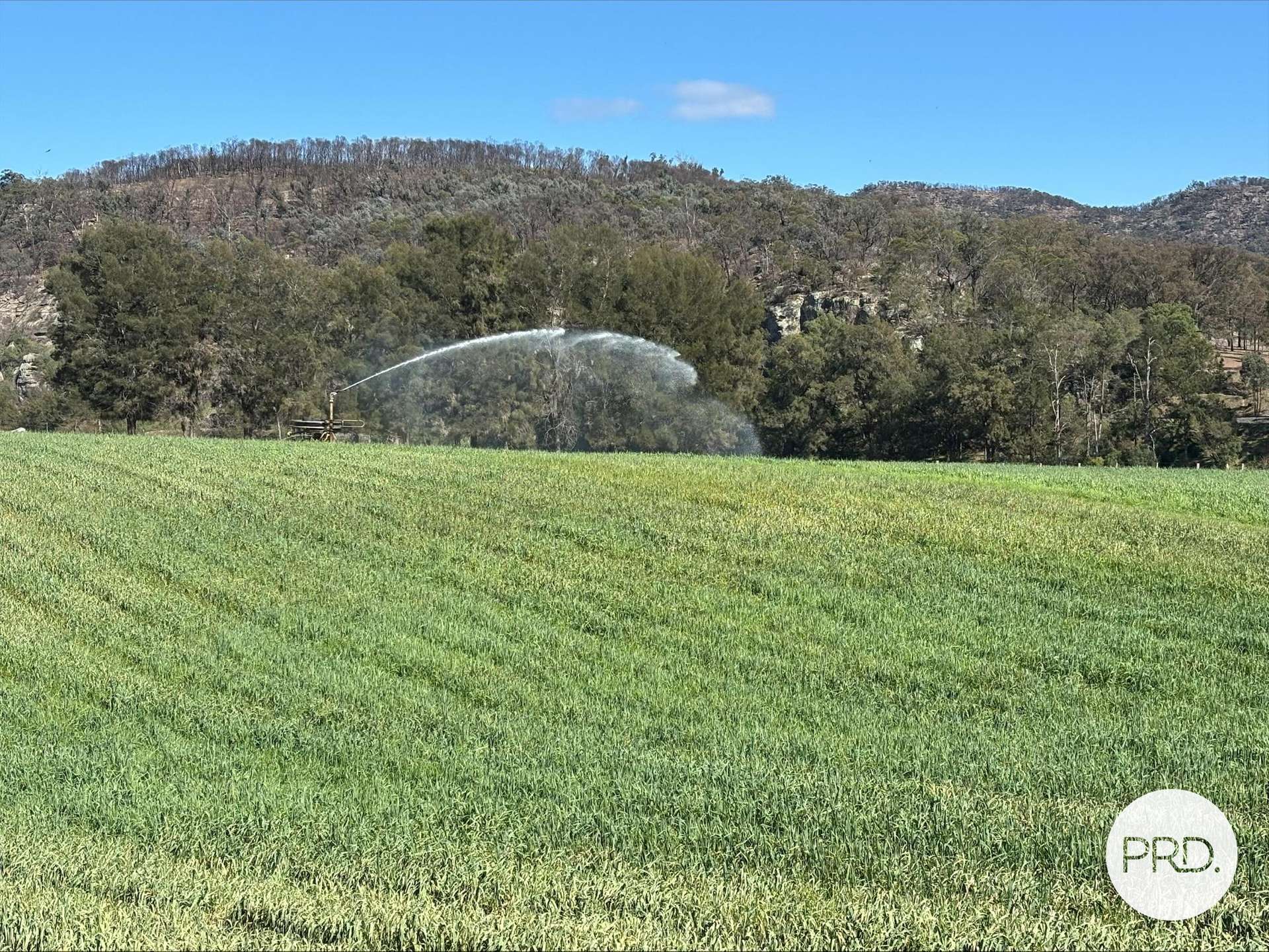 2080 Bylong Valley Way, Baerami For Sale by Farmbuy.com - image 6