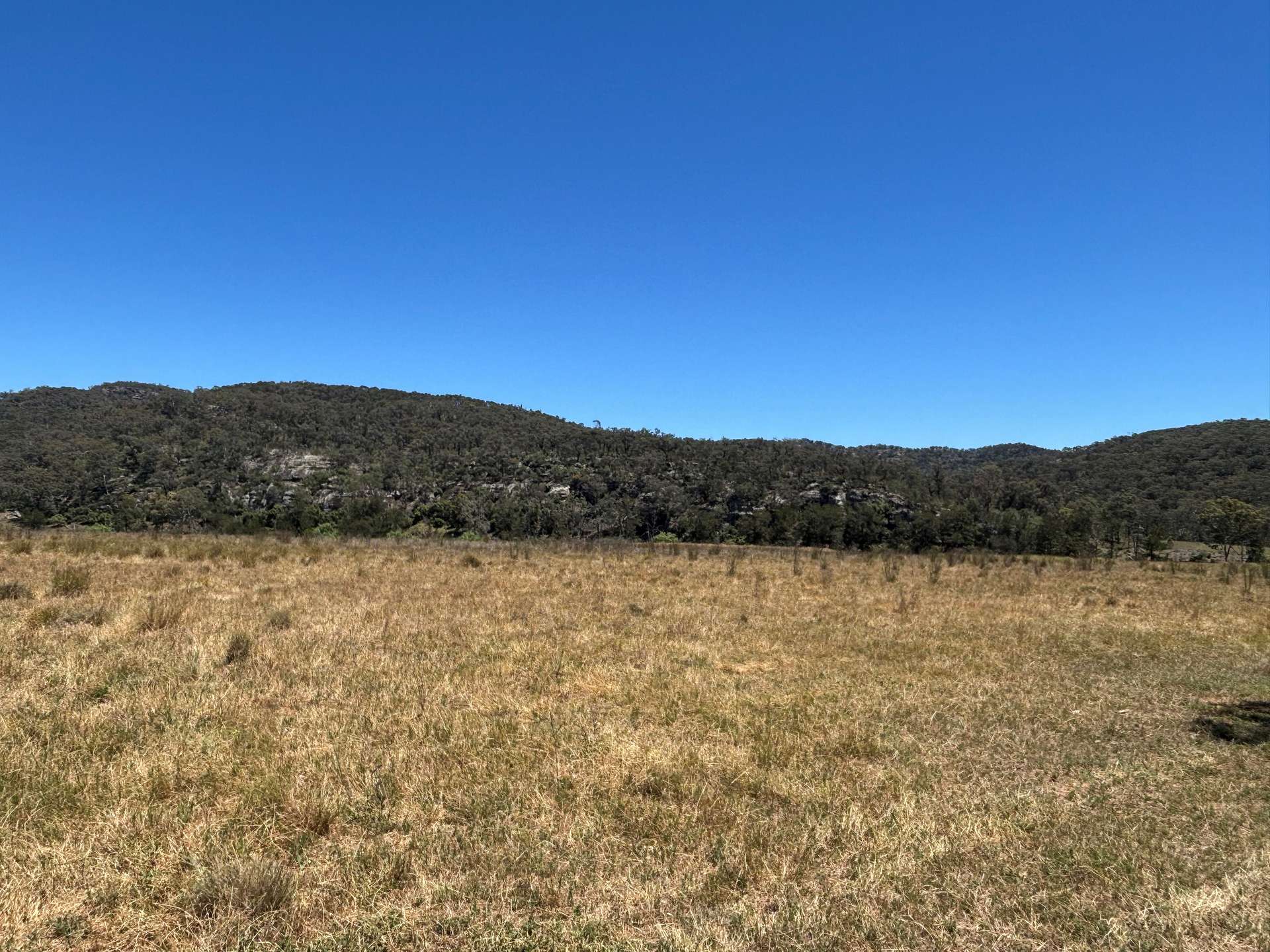 2080 Bylong Valley Way, Baerami For Sale by Farmbuy.com - image 5