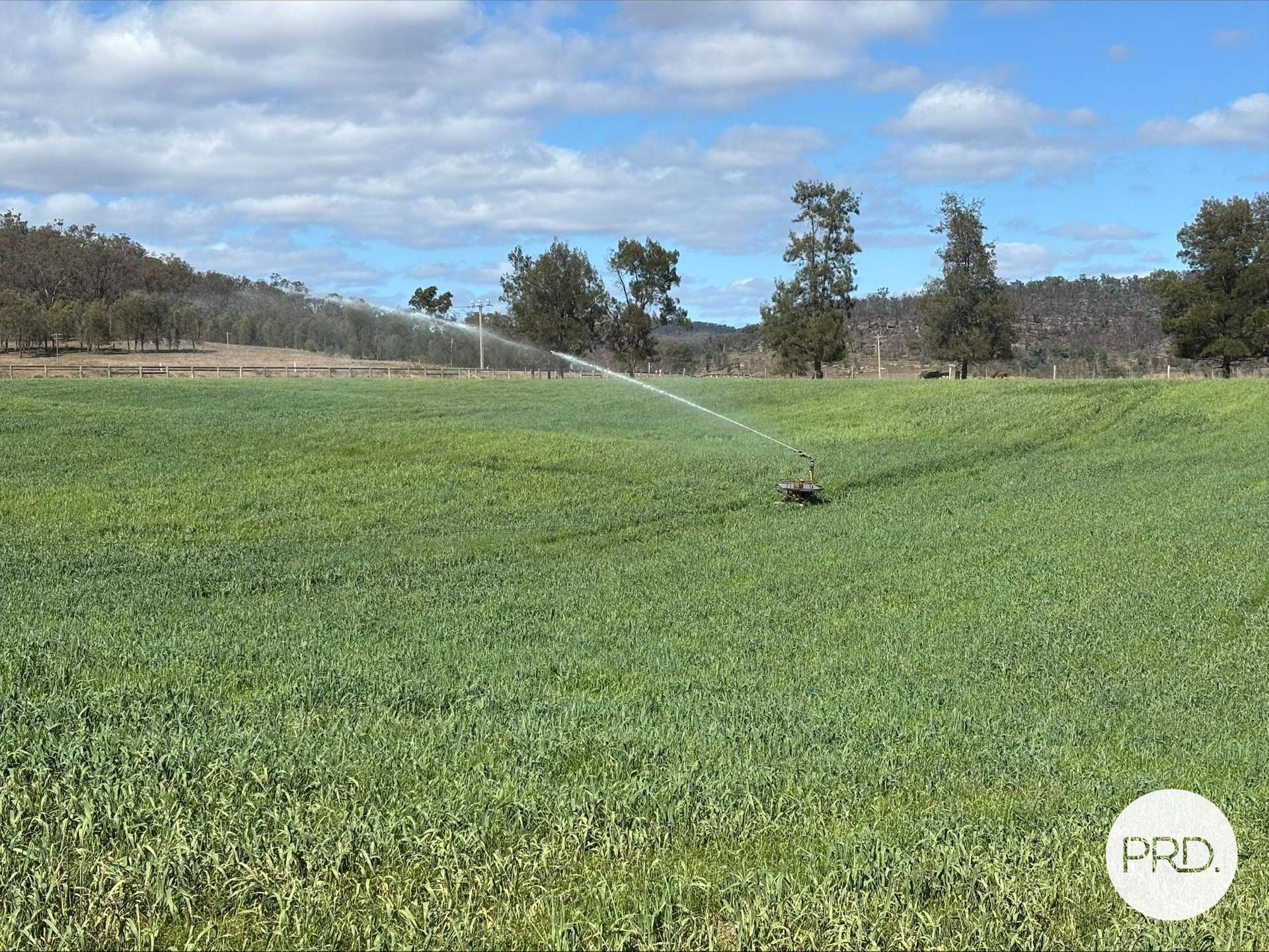 2080 Bylong Valley Way, Baerami For Sale by Farmbuy.com - image 4