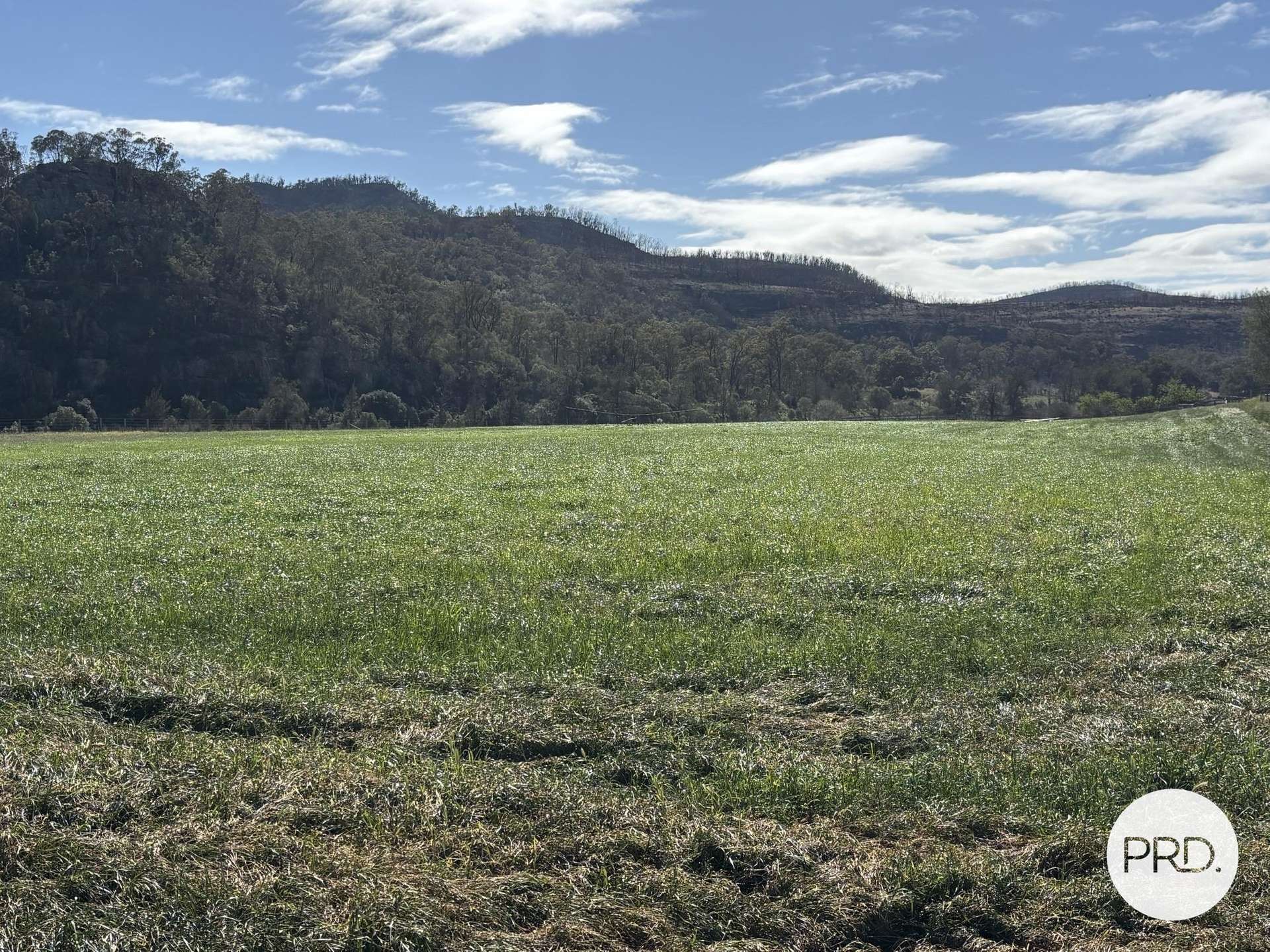 2080 Bylong Valley Way, Baerami For Sale by Farmbuy.com - image 8