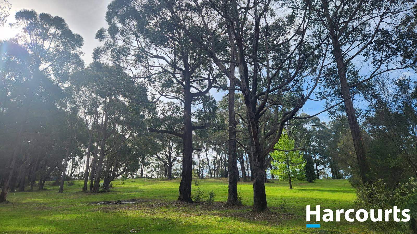 4B Gilfedder Terrace, Mirboo North For Sale by Farmbuy.com - image 12