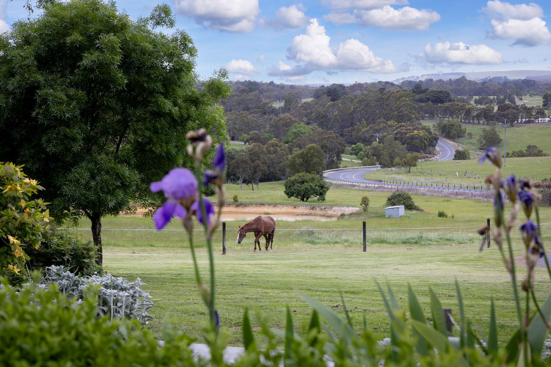 447 Buninyong - Mount Mercer Road, Durham Lead For Sale by Farmbuy.com - image 18