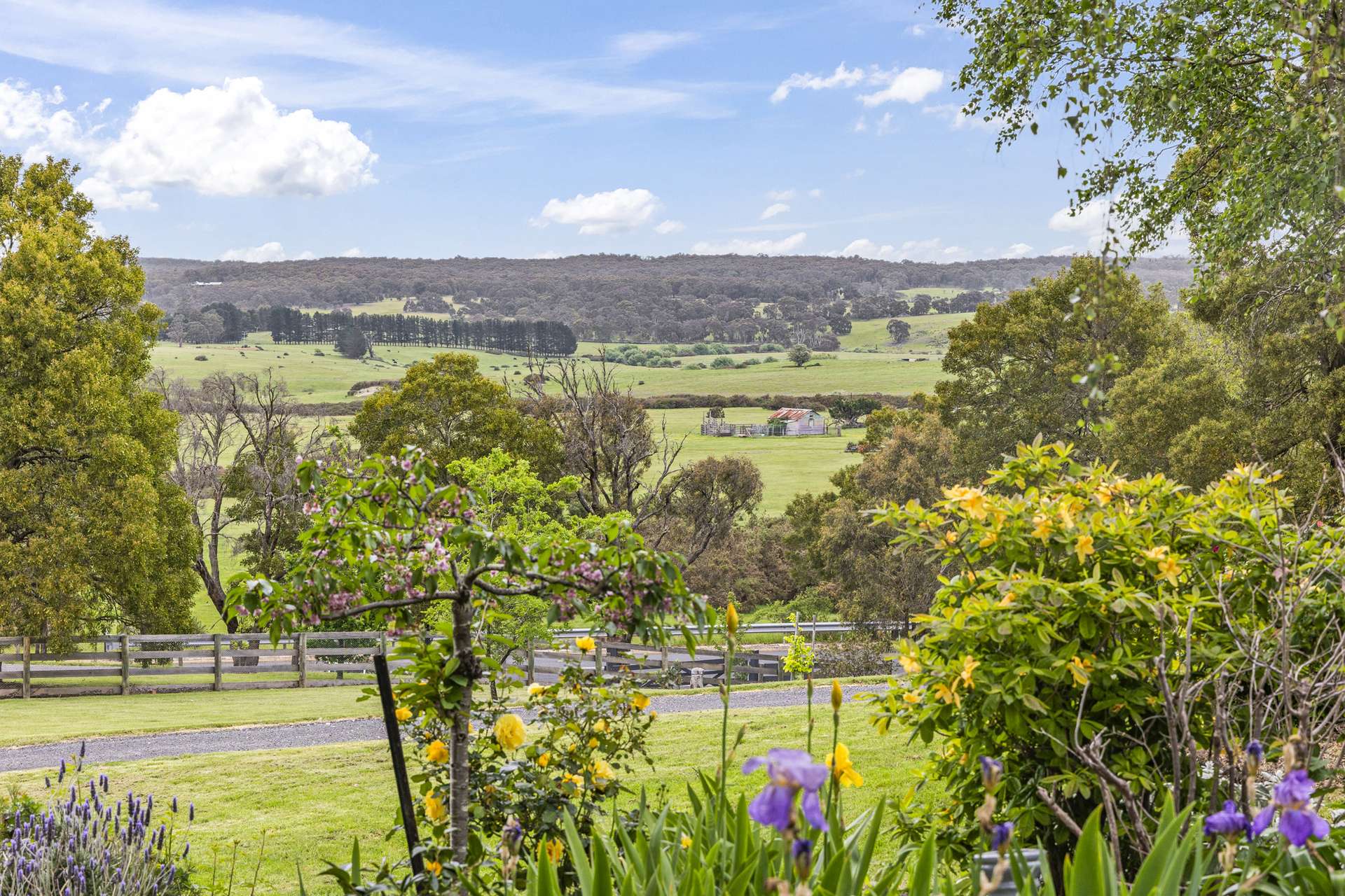 447 Buninyong - Mount Mercer Road, Durham Lead For Sale by Farmbuy.com - image 16