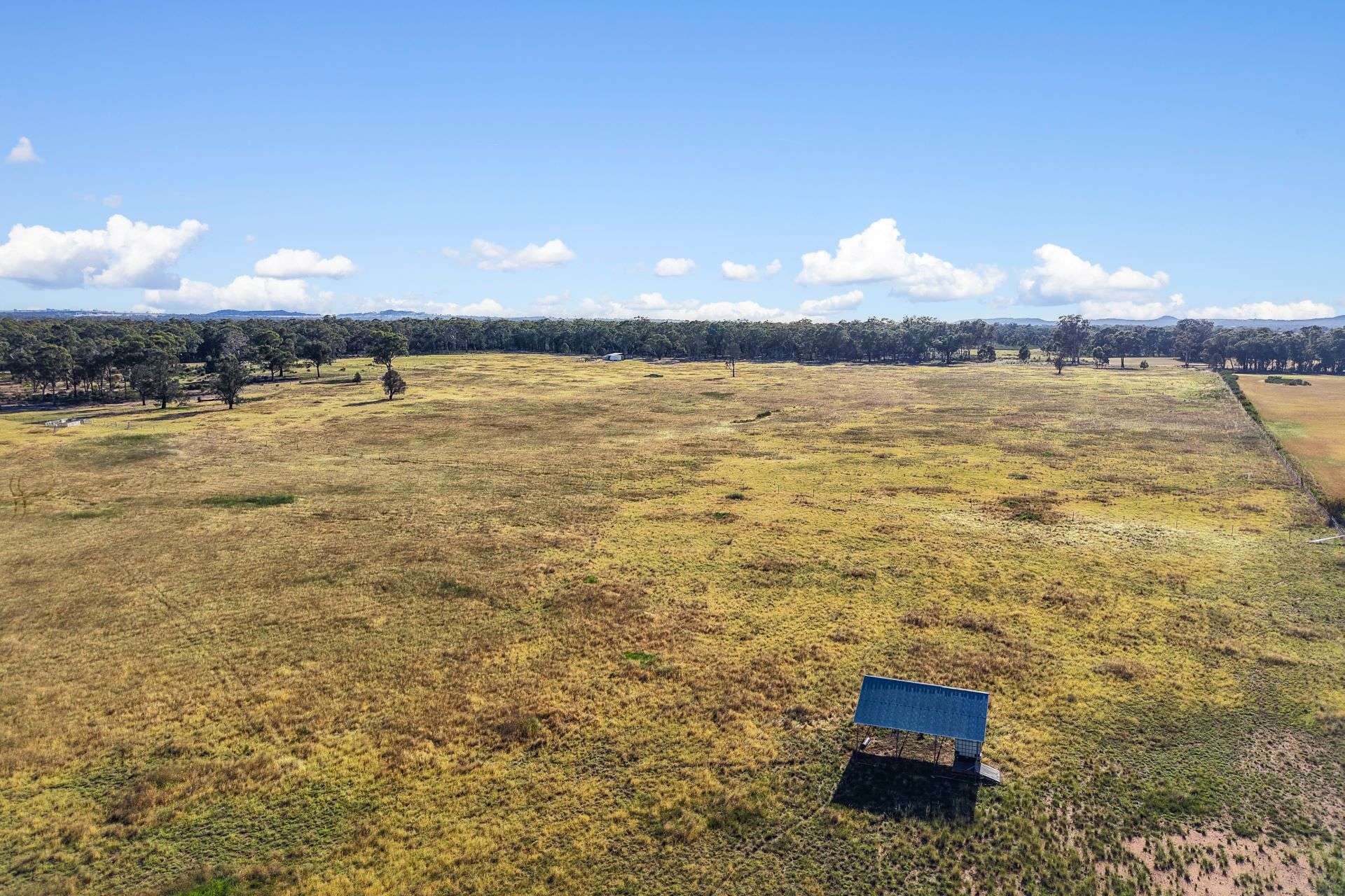108 Stubbo Road, Gulgong For Sale by Farmbuy.com - image 9
