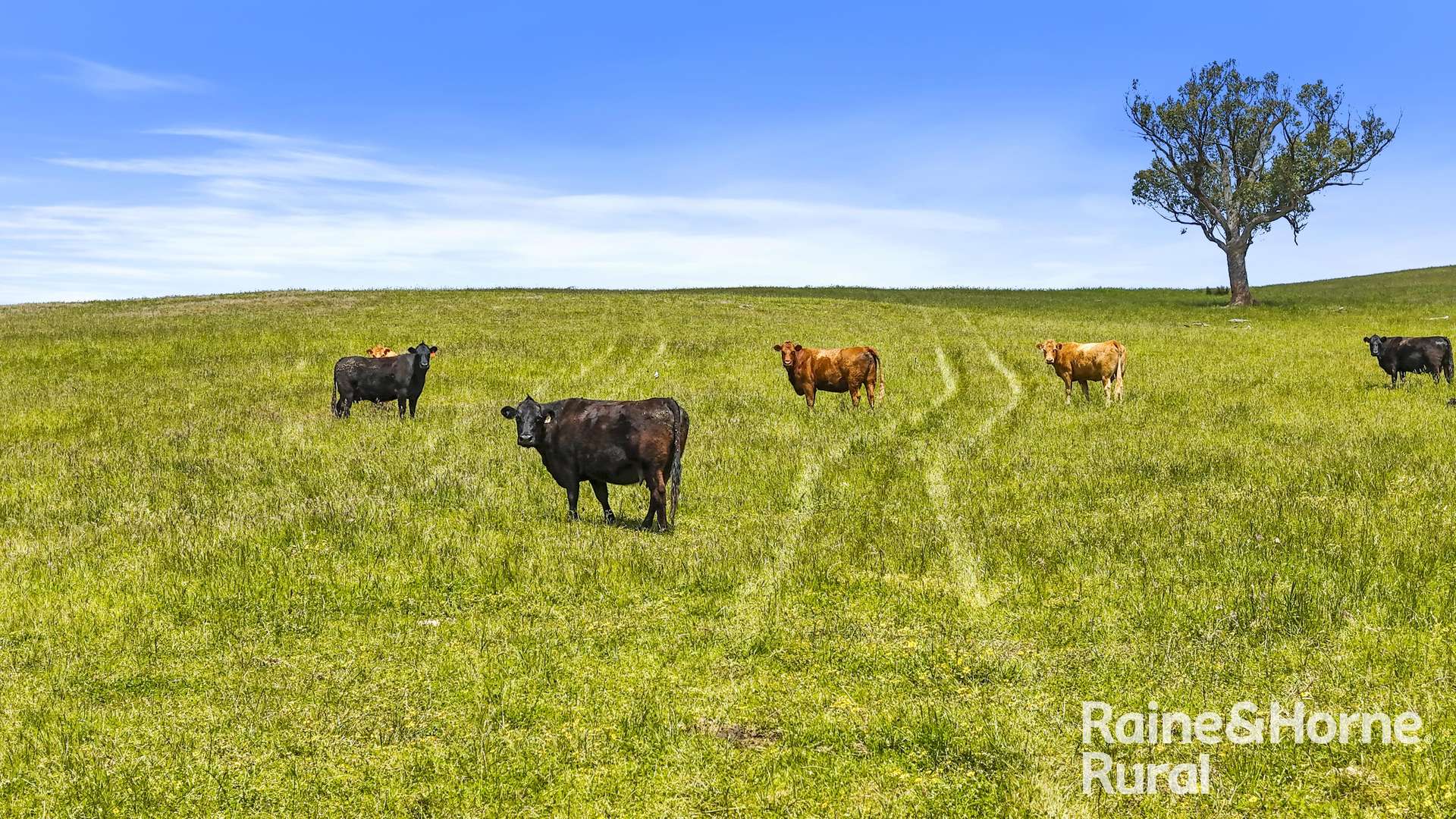 83 Cressbrook Road, Hindmarsh Valley For Sale by Farmbuy.com - image 18
