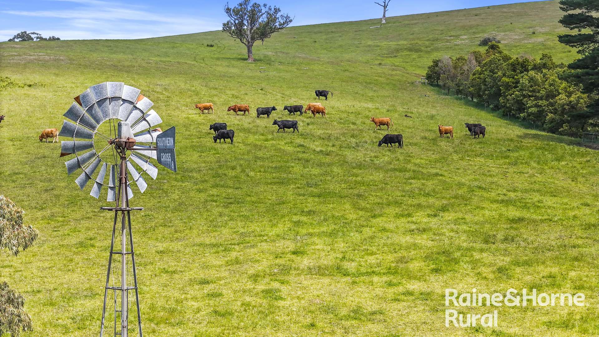 83 Cressbrook Road, Hindmarsh Valley For Sale by Farmbuy.com - image 3