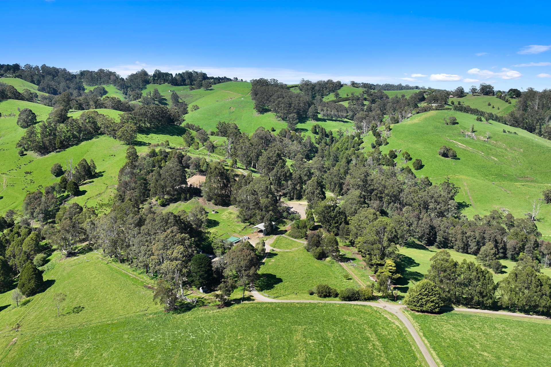 196 Peters Road, Ellinbank For Sale by Farmbuy.com - image 15