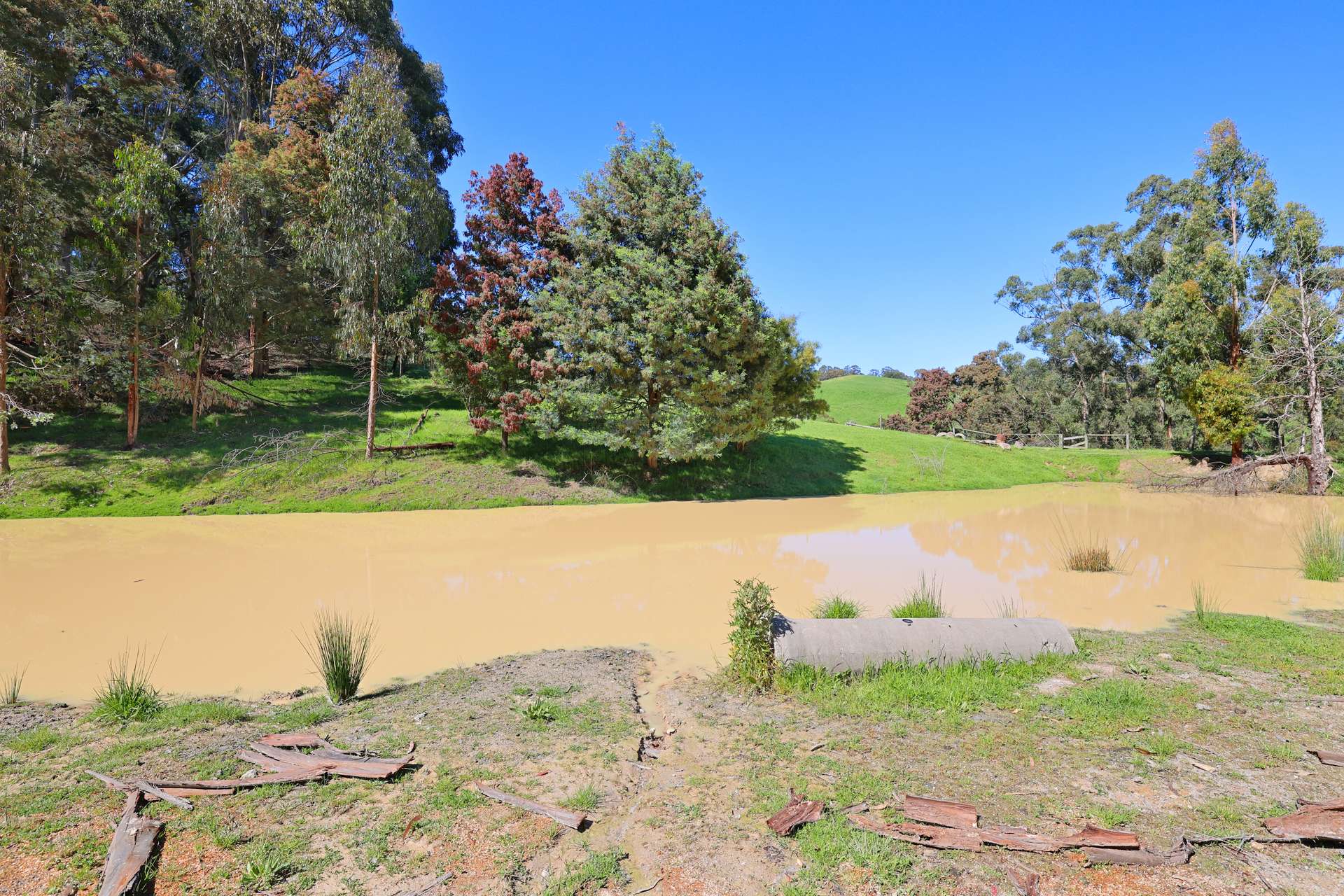 196 Peters Road, Ellinbank For Sale by Farmbuy.com - image 20