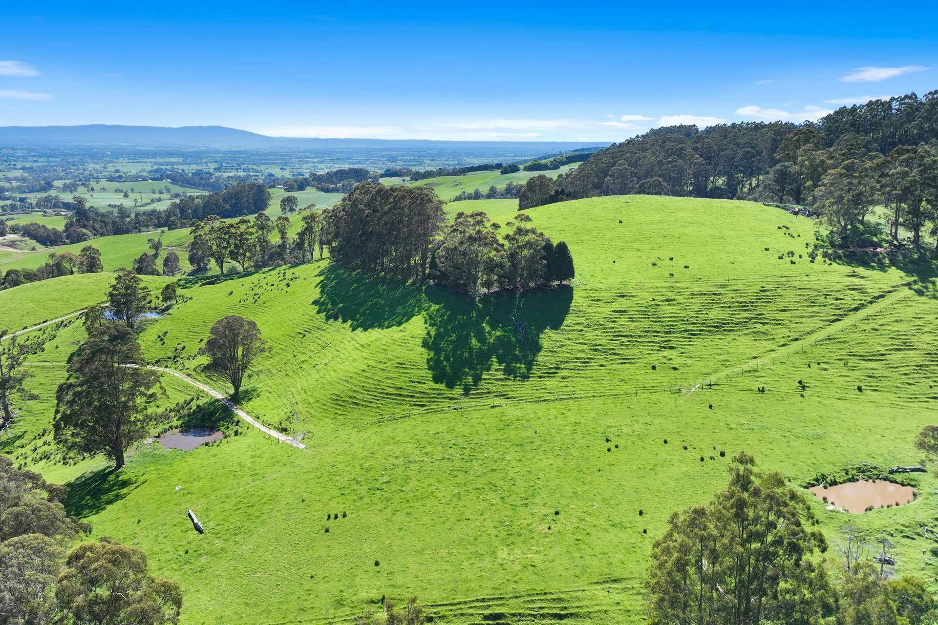 196 Peters Road, Ellinbank For Sale by Farmbuy.com - image 2