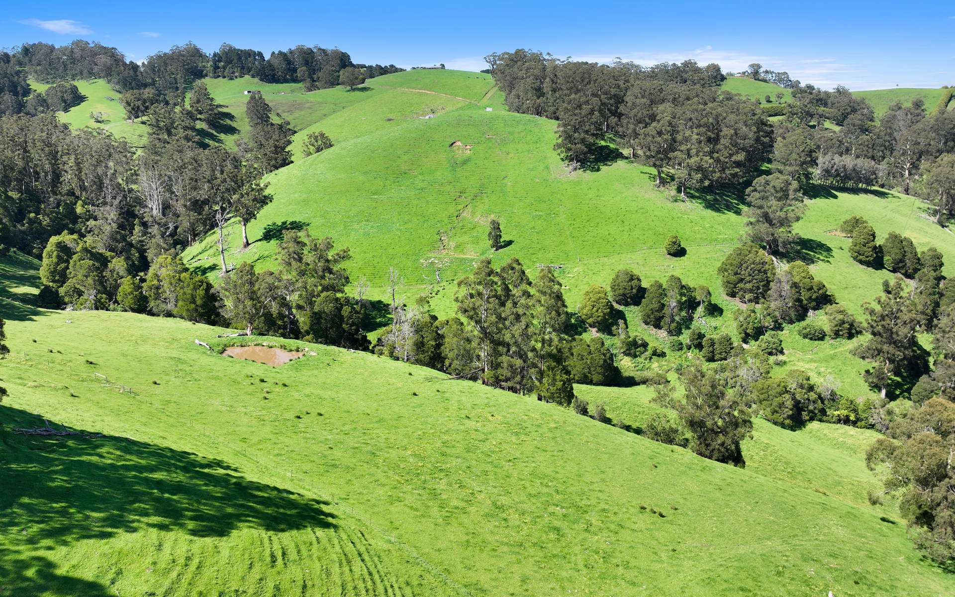 196 Peters Road, Ellinbank For Sale by Farmbuy.com - image 22