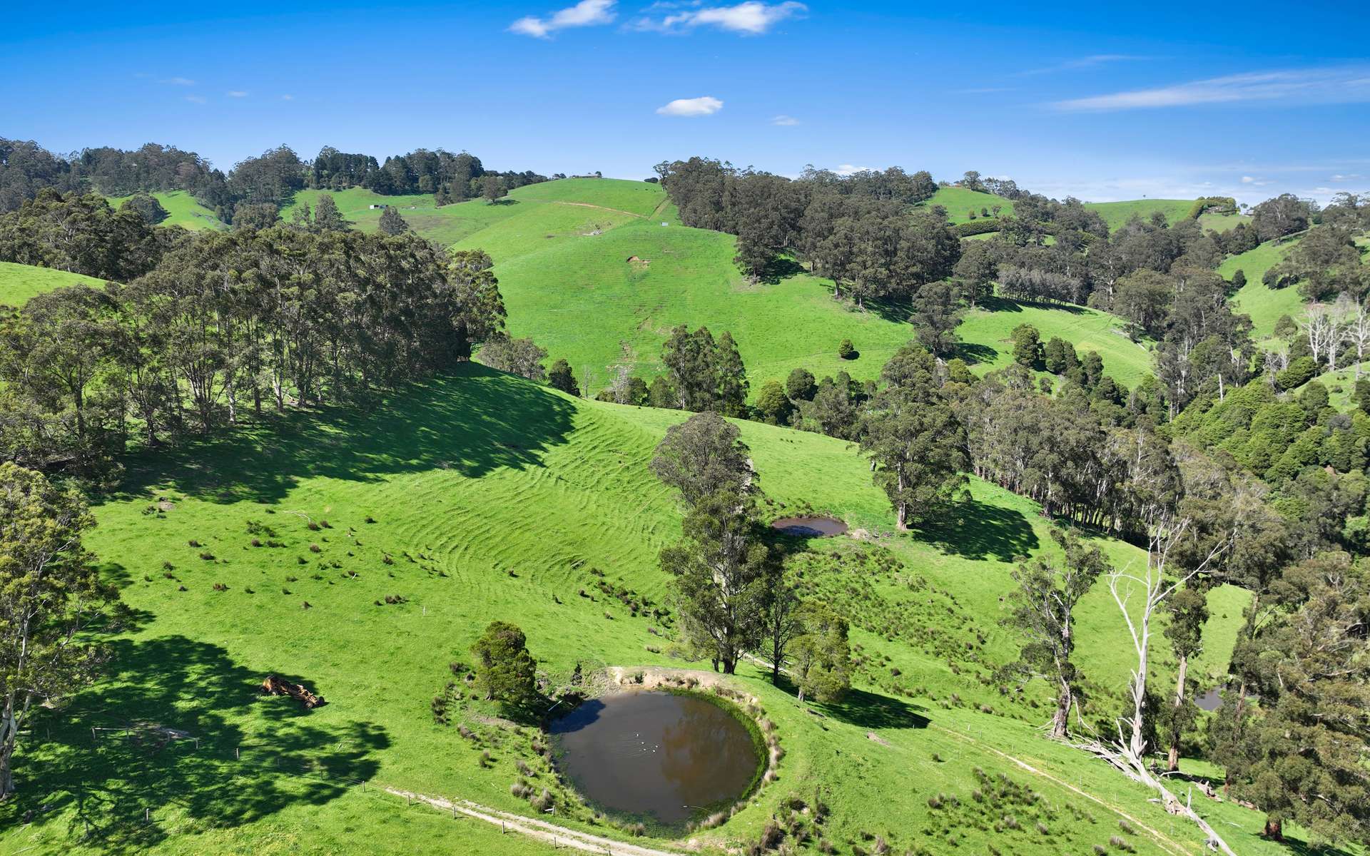 196 Peters Road, Ellinbank For Sale by Farmbuy.com - image 21
