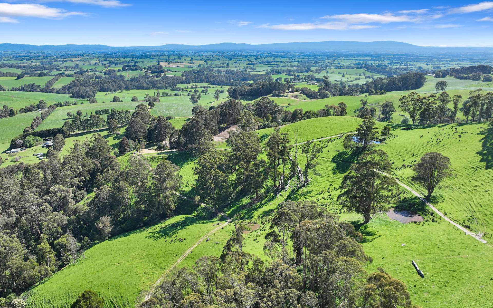 196 Peters Road, Ellinbank For Sale by Farmbuy.com - image 13