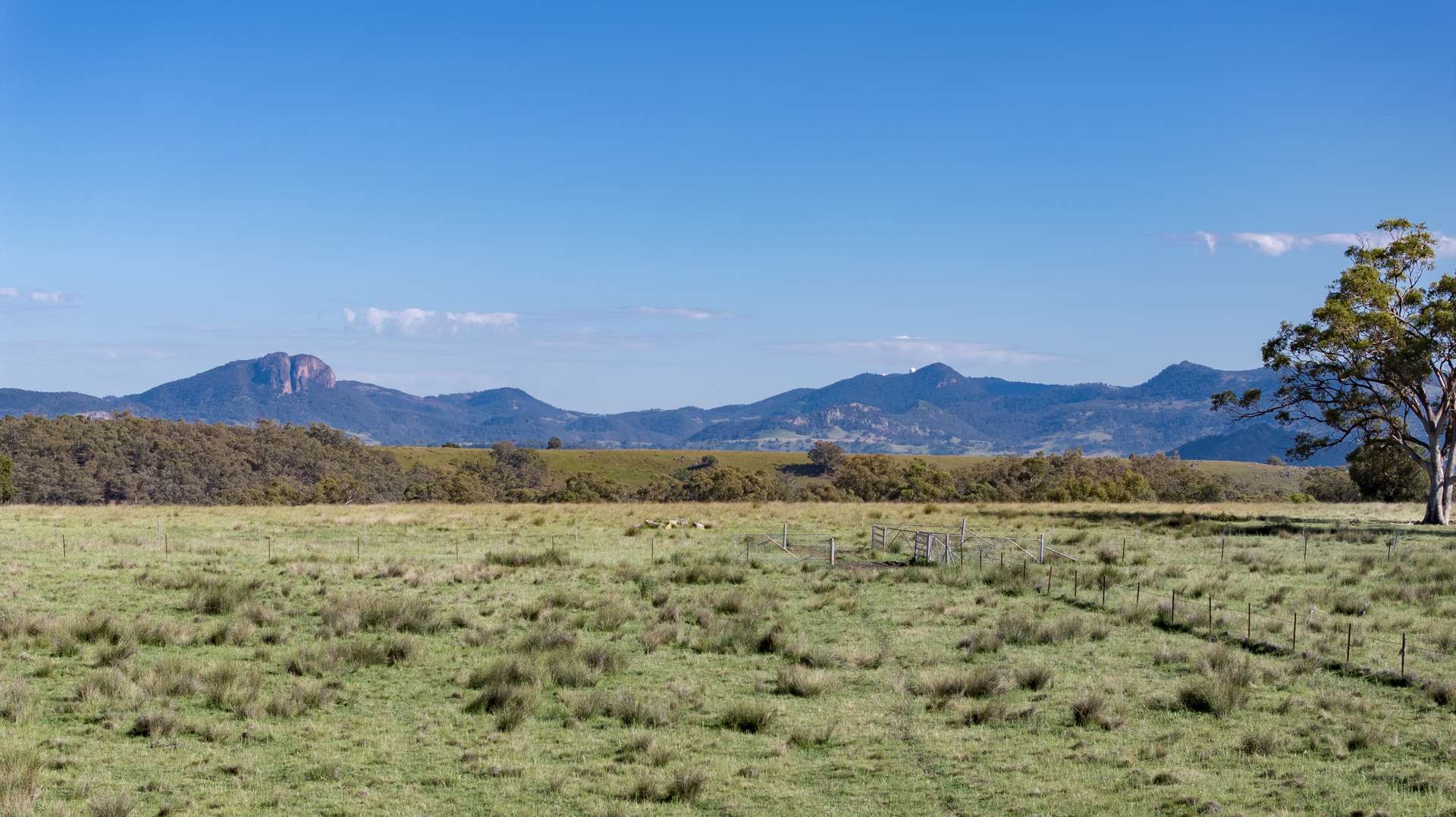 TIMBYDALE NEWELL HIGHWAY, Coonabarabran For Sale by Farmbuy.com - image 10