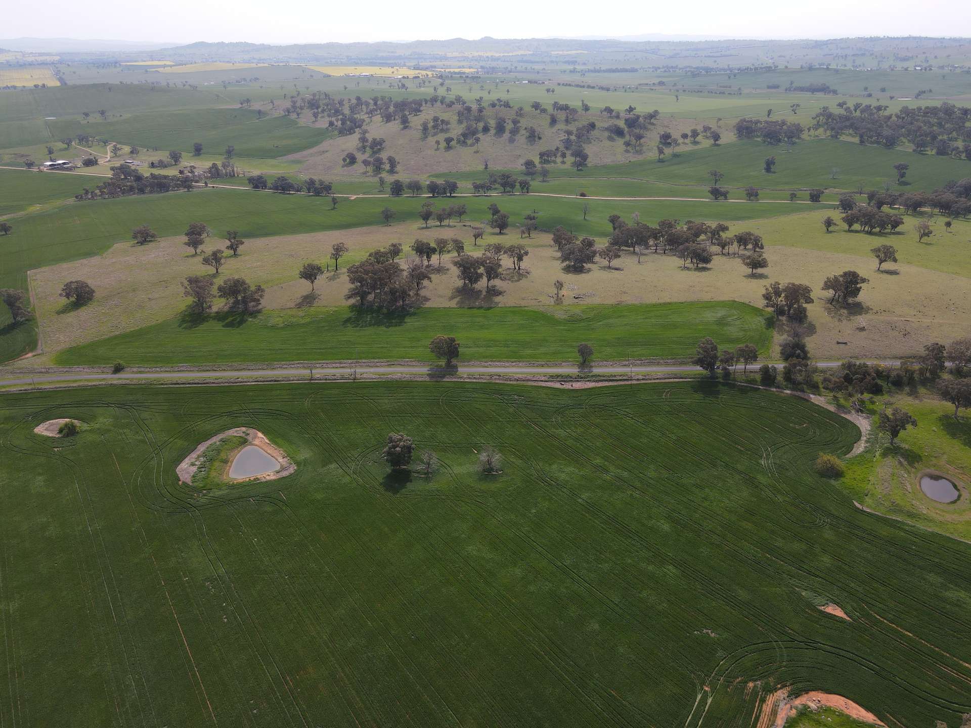 Woodstock For Sale by Farmbuy.com - image 17