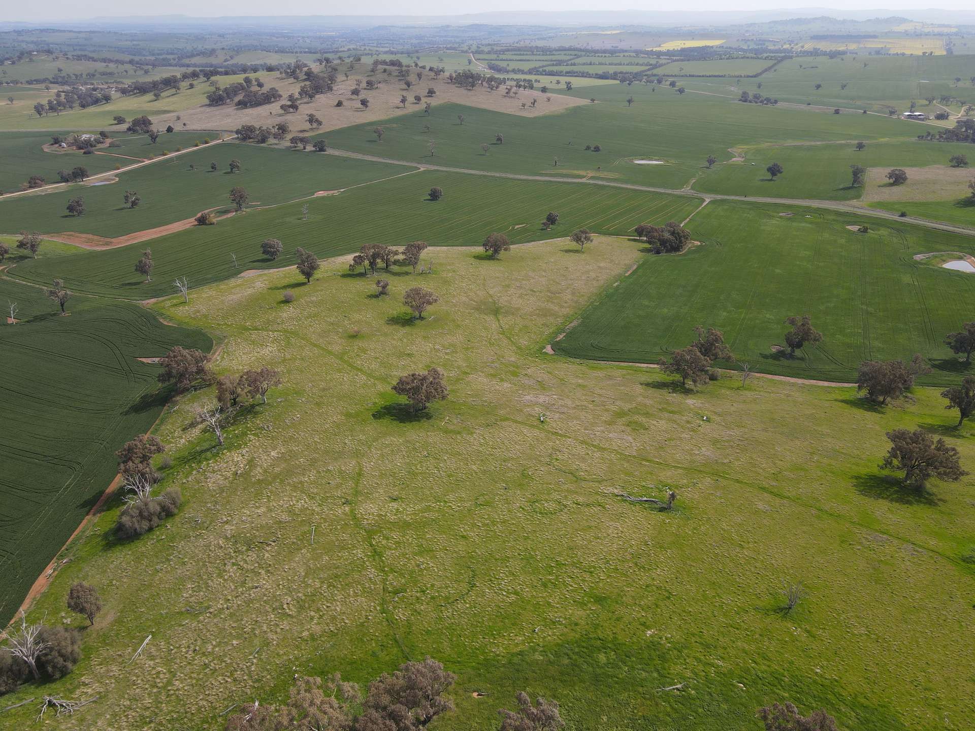 Woodstock For Sale by Farmbuy.com - image 13