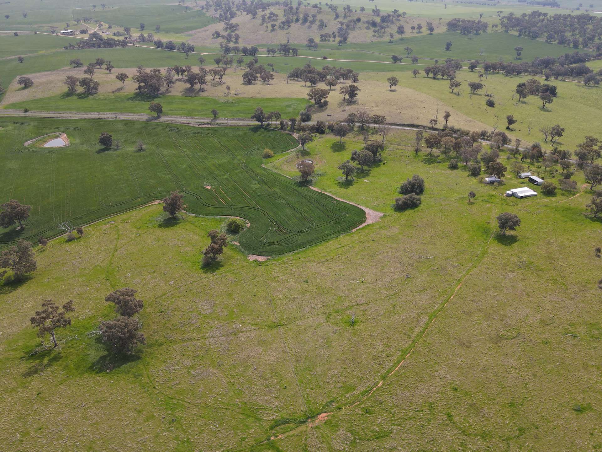 Woodstock For Sale by Farmbuy.com - image 14