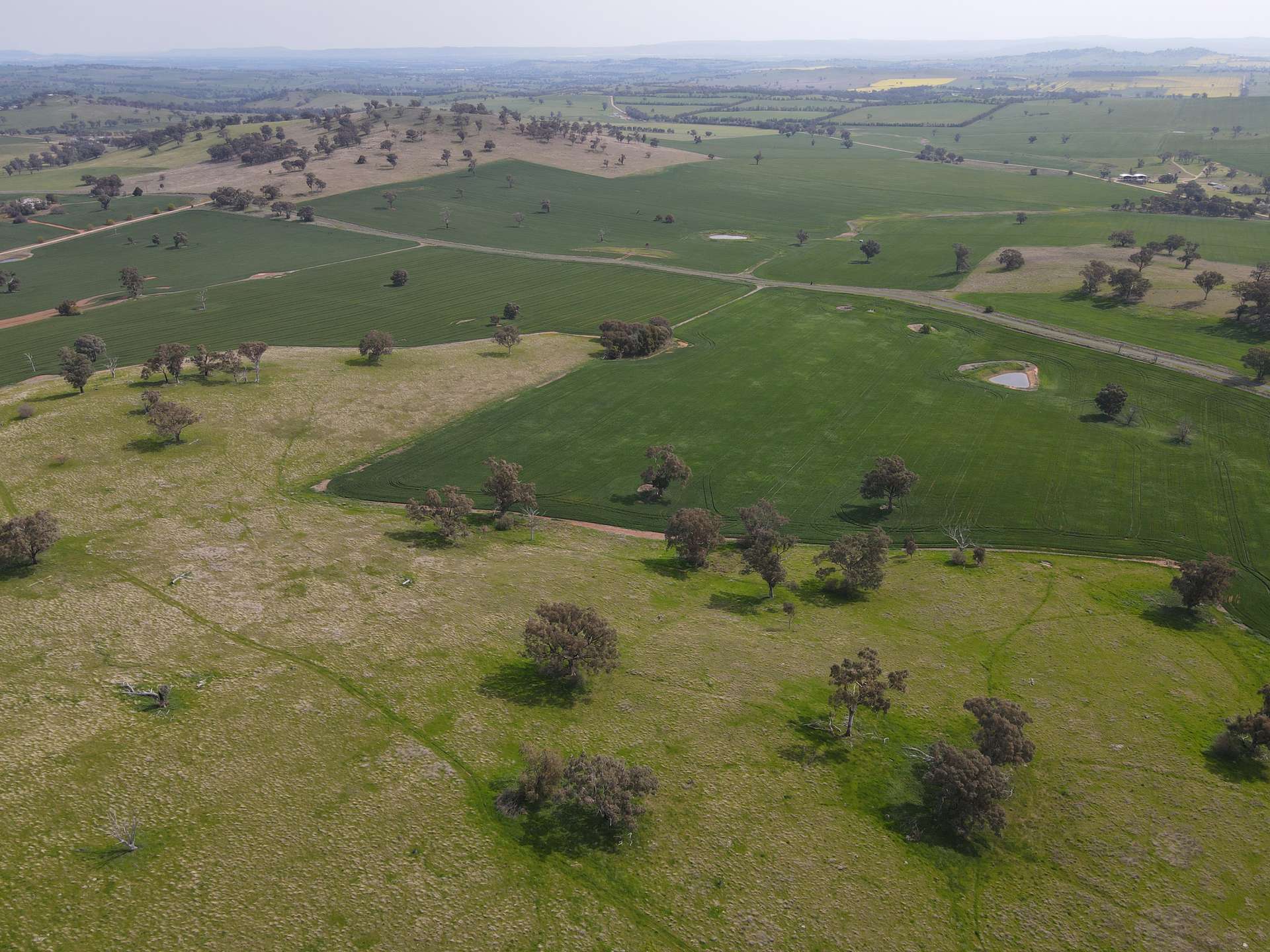 Woodstock For Sale by Farmbuy.com - image 15