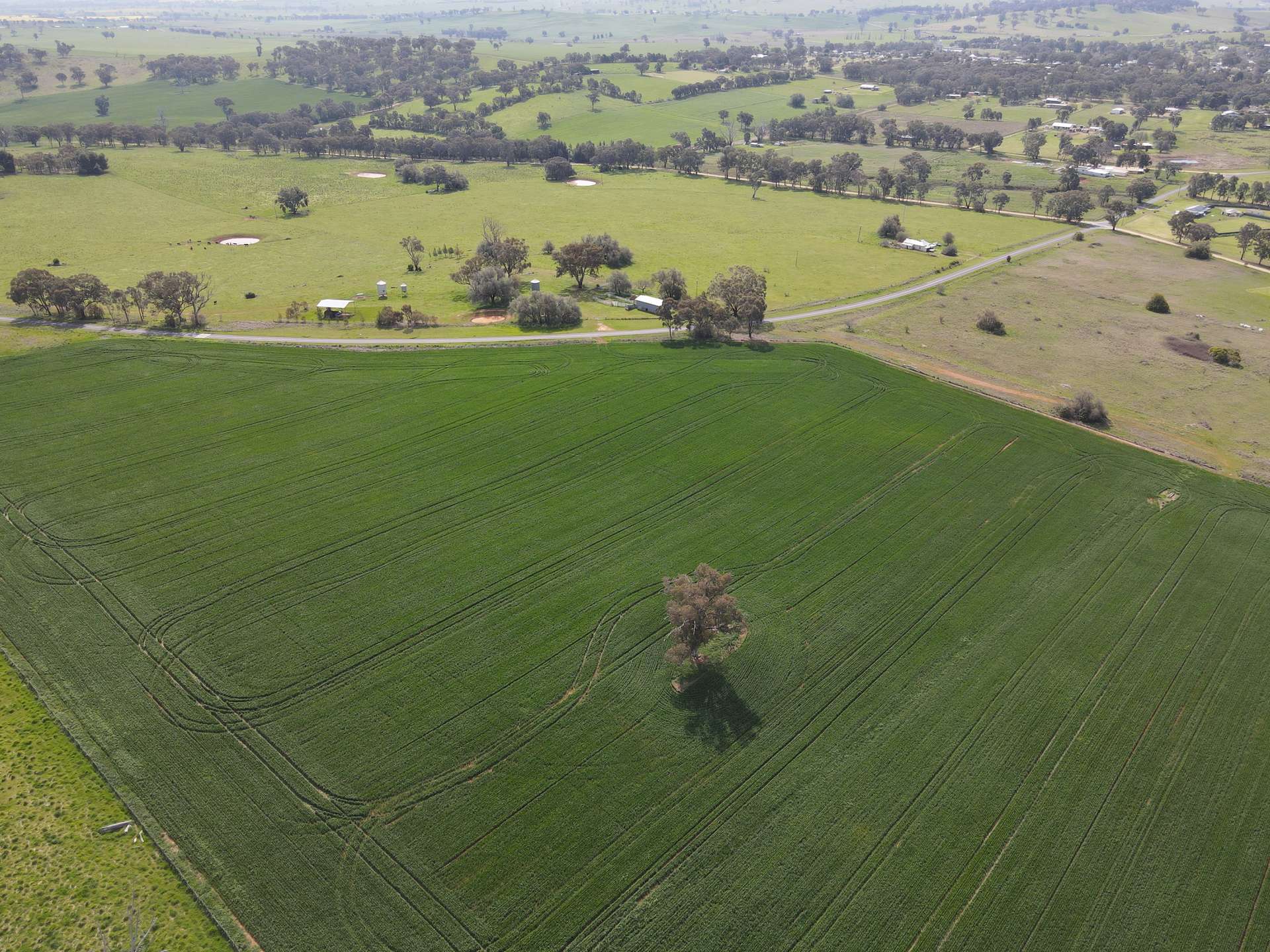 Woodstock For Sale by Farmbuy.com - image 9