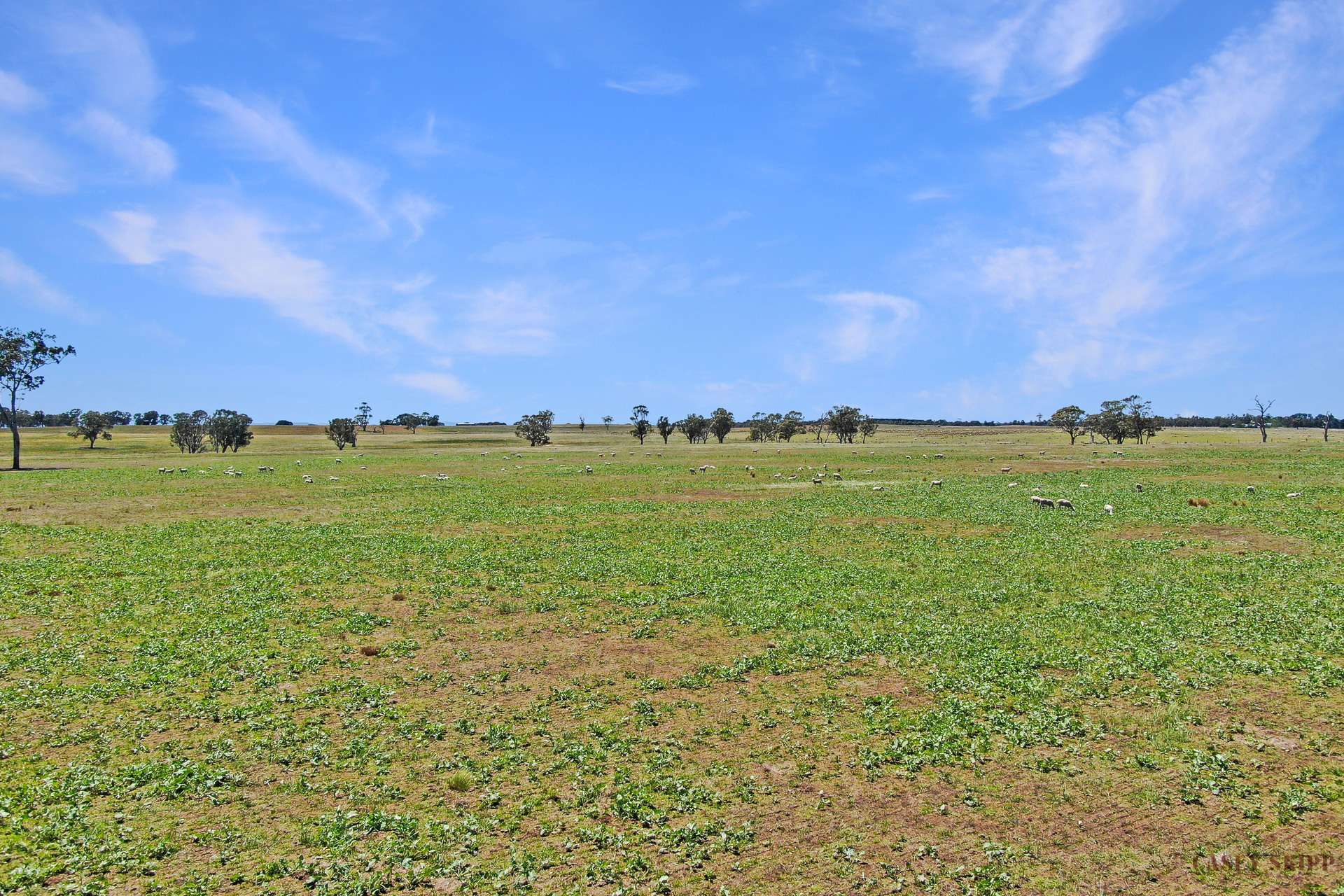 Lot 3,  Roseneath Road, Meerlieu For Sale by Farmbuy.com - image 4