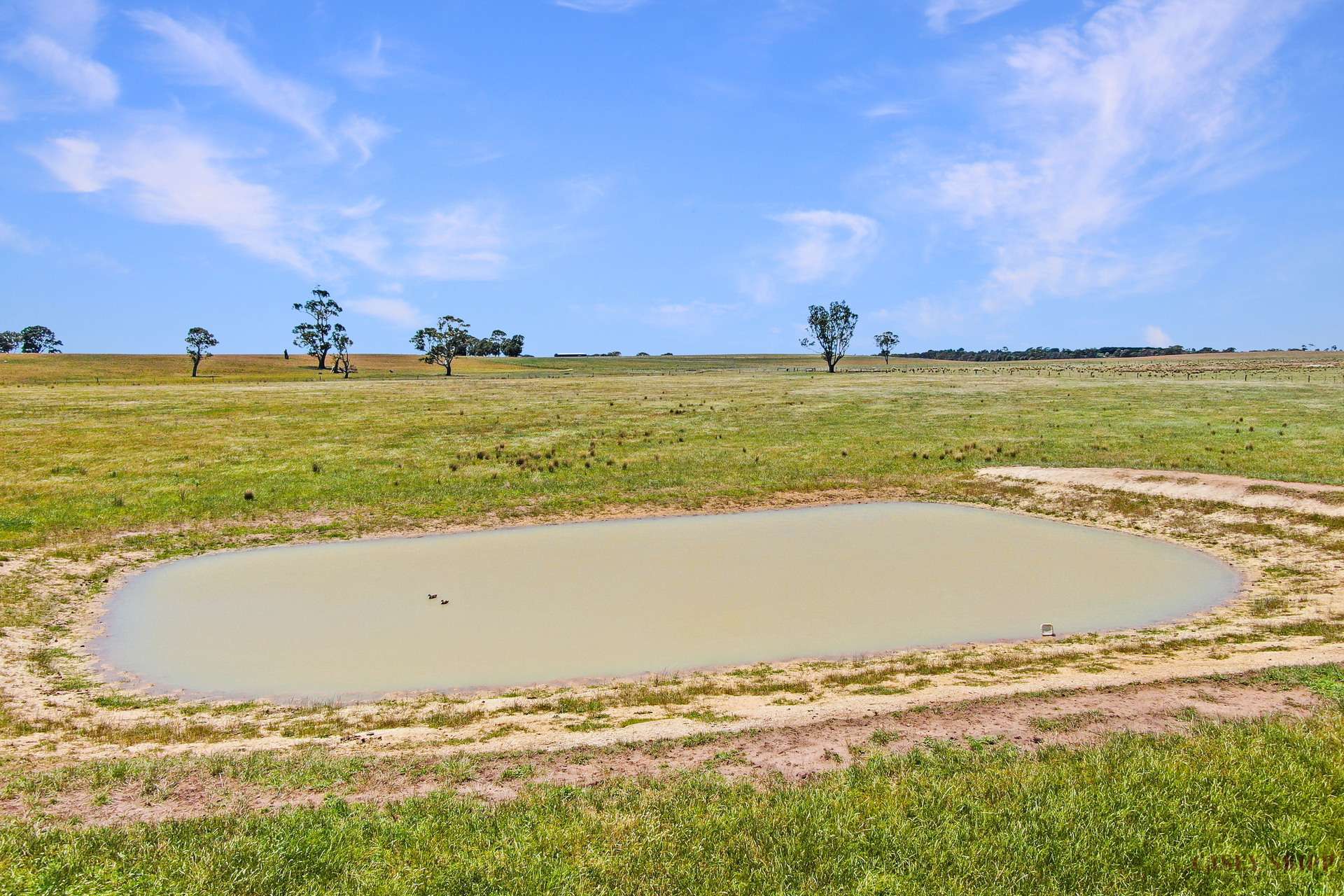 Lot 3,  Roseneath Road, Meerlieu For Sale by Farmbuy.com - image 5