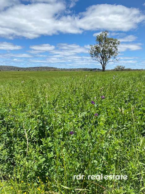 2250 Copeton Dam Rd, Inverell For Sale by Farmbuy.com - image 15