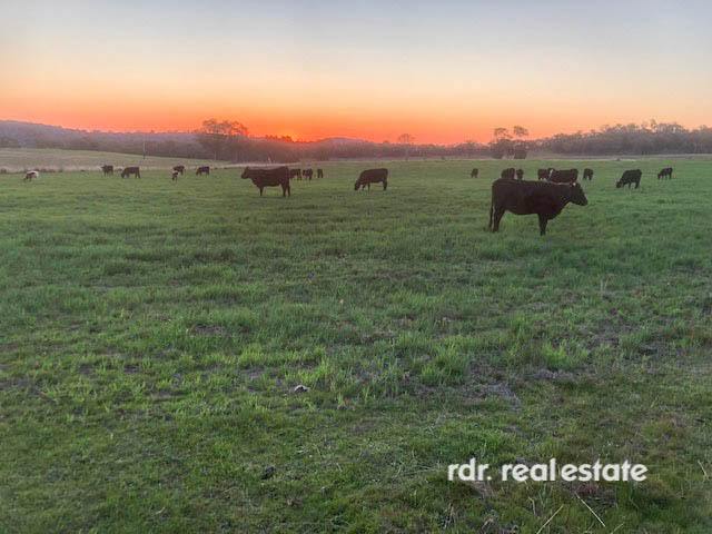 2250 Copeton Dam Rd, Inverell For Sale by Farmbuy.com - image 24