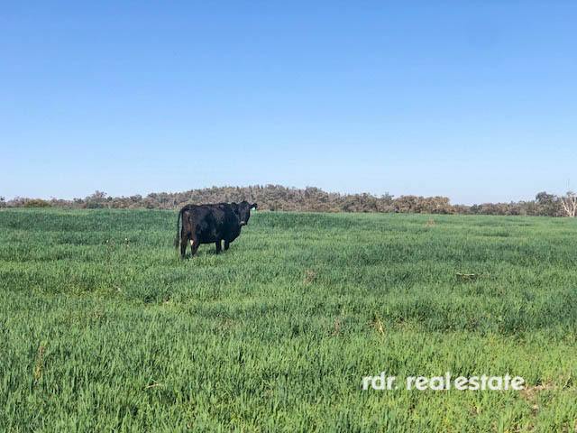 2250 Copeton Dam Rd, Inverell For Sale by Farmbuy.com - image 26