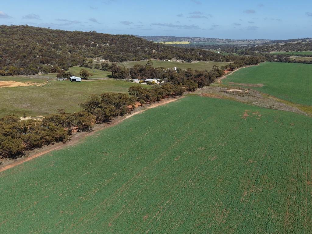 90 Hobbs Road, Dale For Sale by Farmbuy.com - image 3