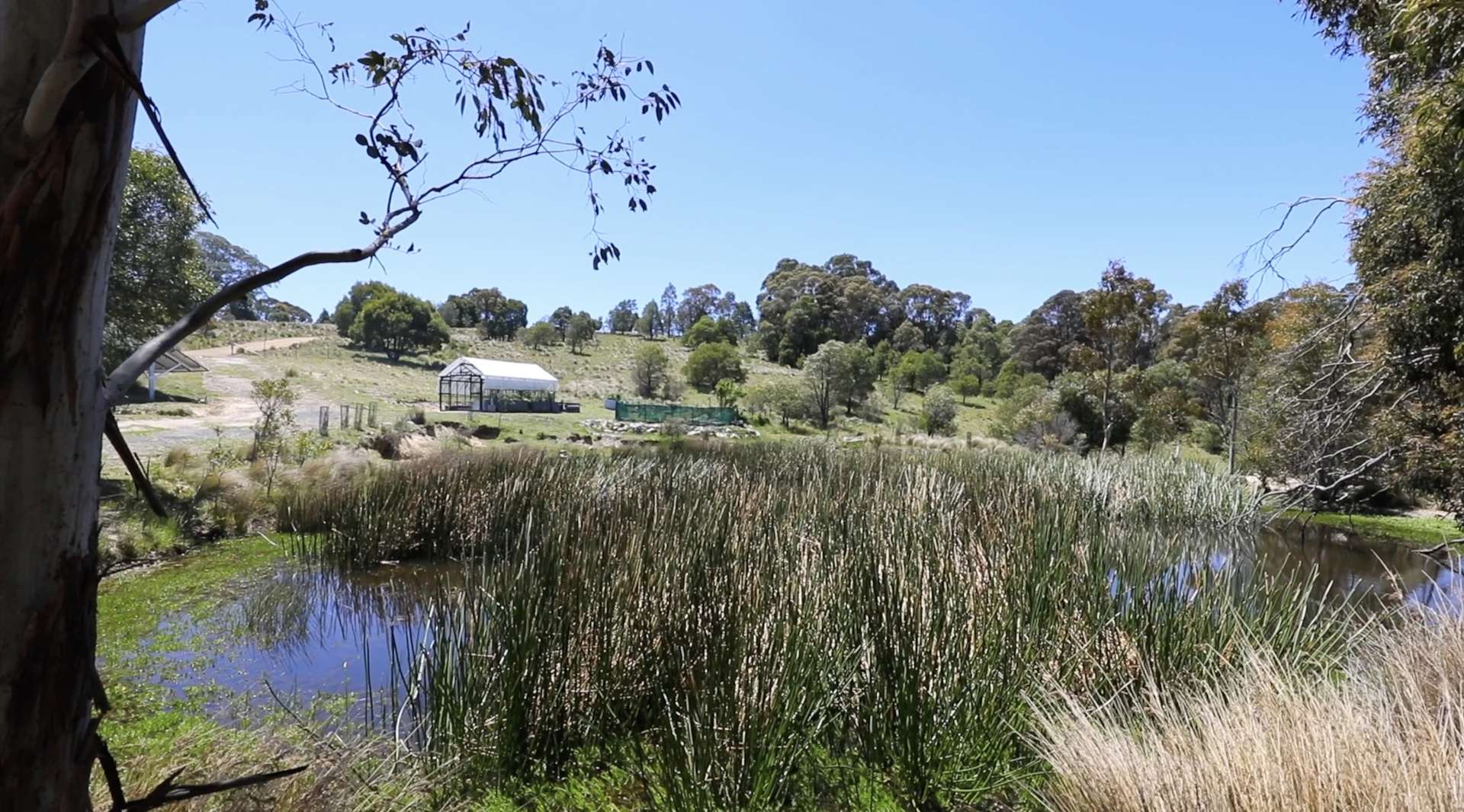 363 Sheepstation Forest Road, Gingkin For Sale by Farmbuy.com - image 15