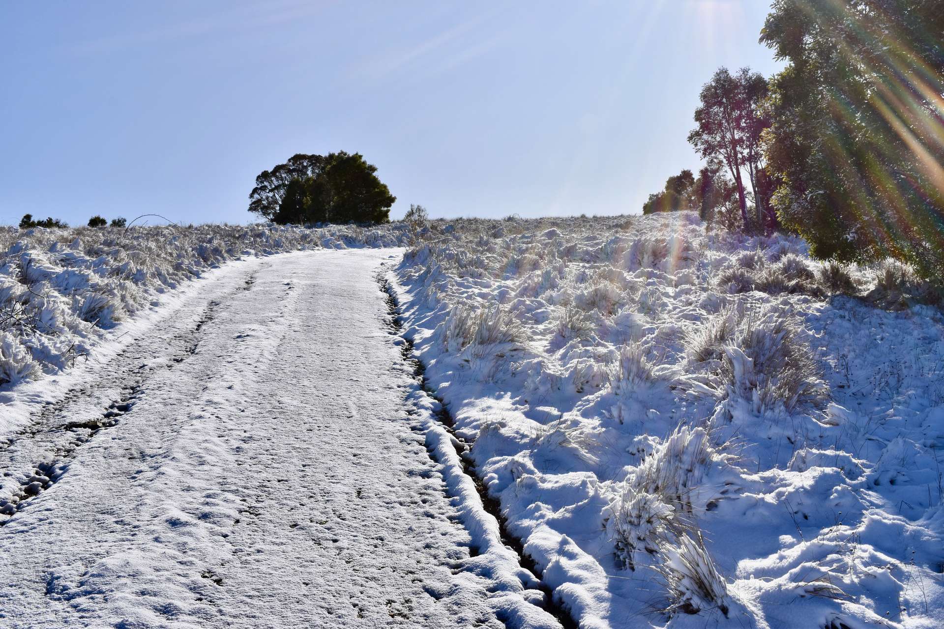363 Sheepstation Forest Road, Gingkin For Sale by Farmbuy.com - image 25