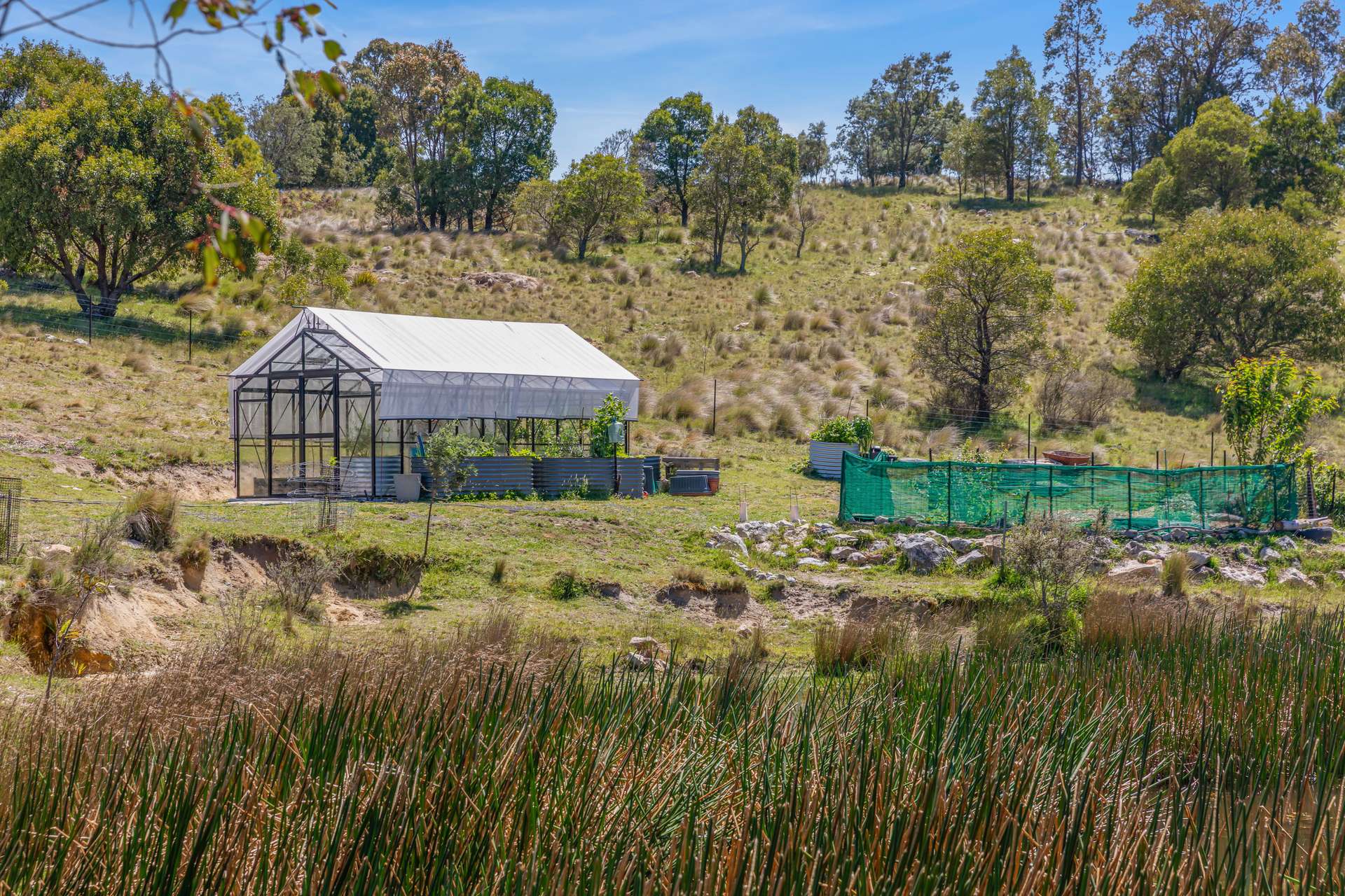 363 Sheepstation Forest Road, Gingkin For Sale by Farmbuy.com - image 5