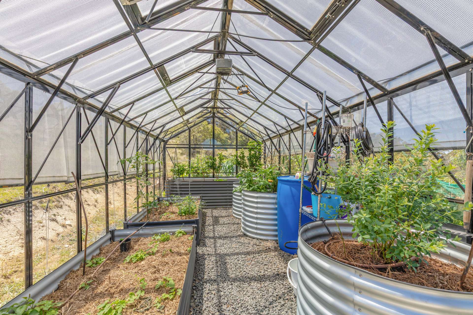 363 Sheepstation Forest Road, Gingkin For Sale by Farmbuy.com - image 16