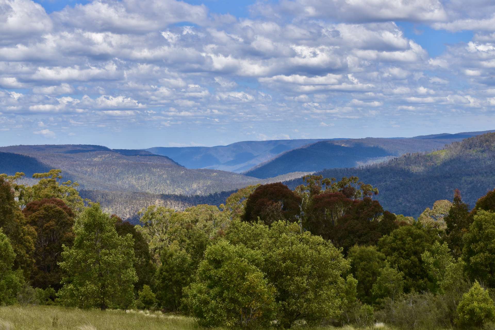 363 Sheepstation Forest Road, Gingkin For Sale by Farmbuy.com - image 6