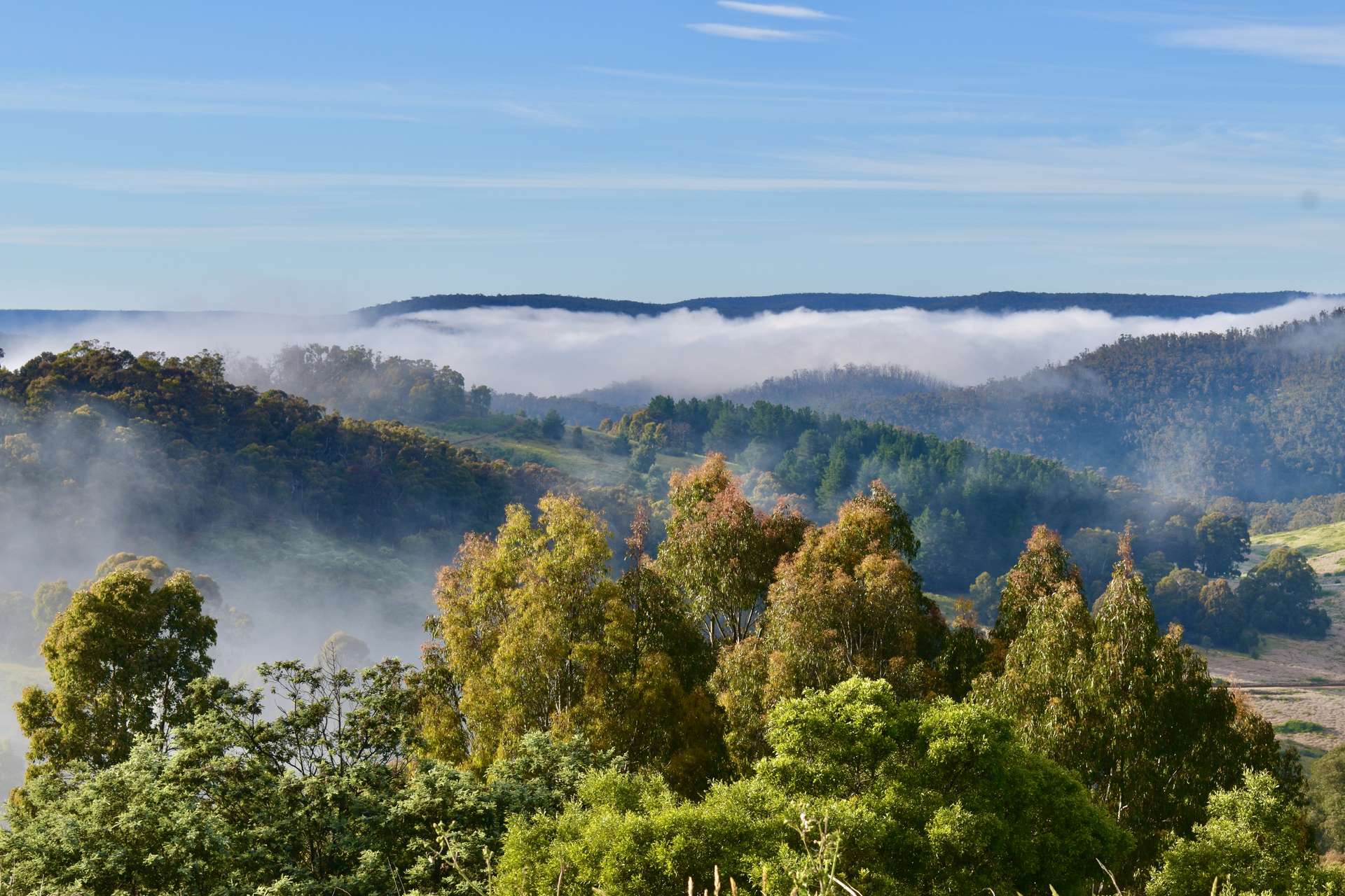 363 Sheepstation Forest Road, Gingkin For Sale by Farmbuy.com - image 24